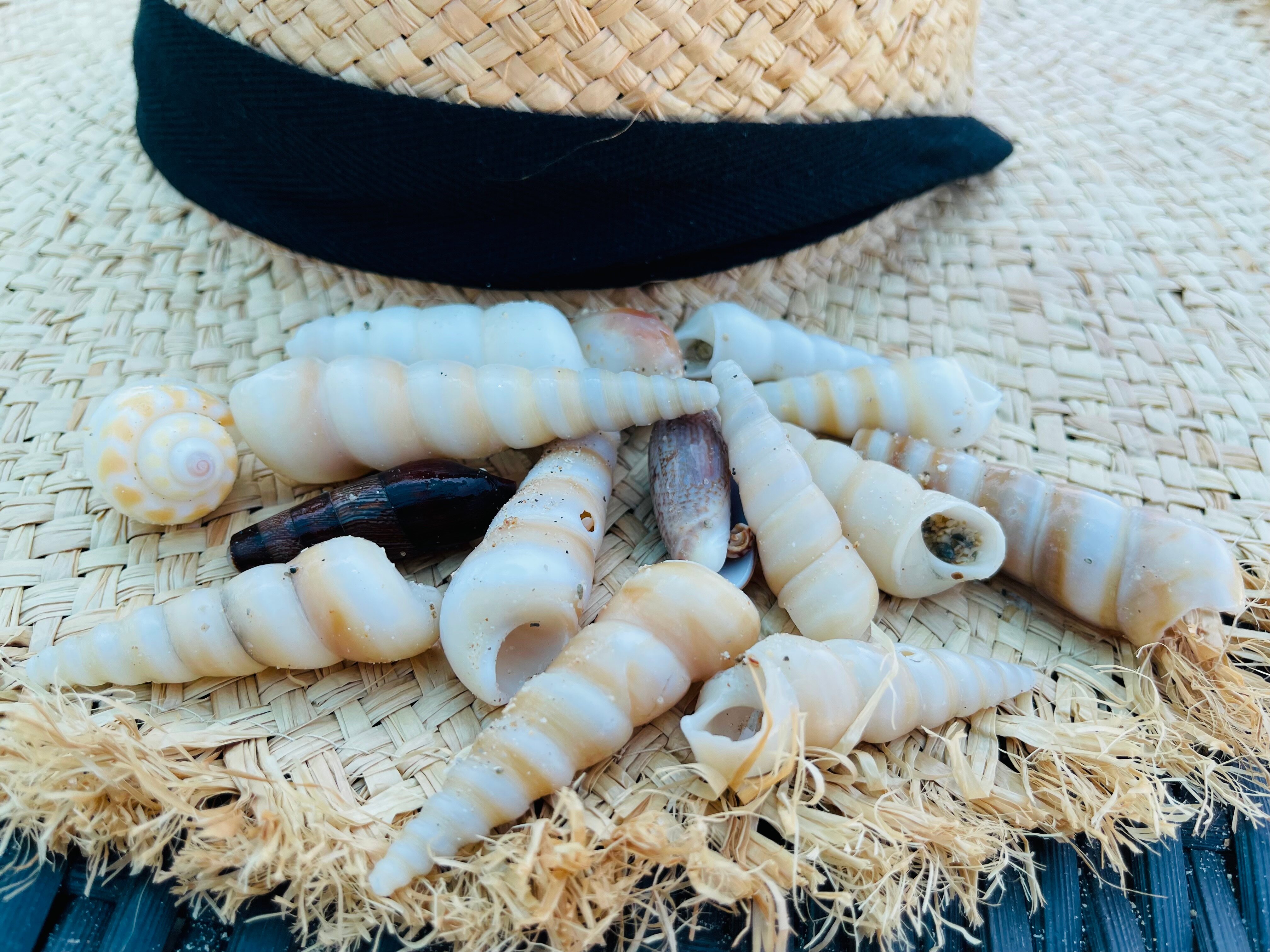 Фото Grand Mercure Khao Lak Bangsak