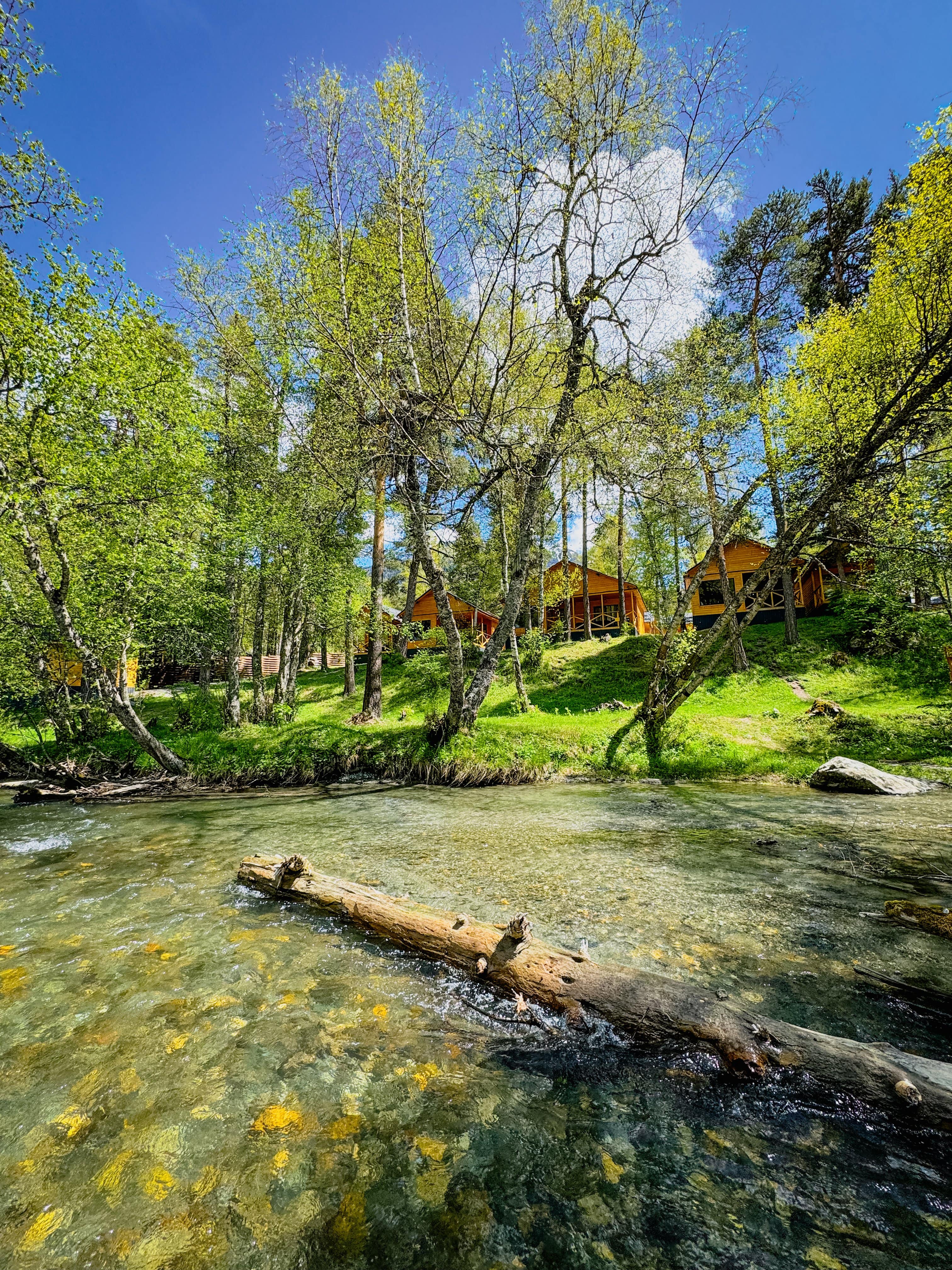 Фото Шале Хвоя