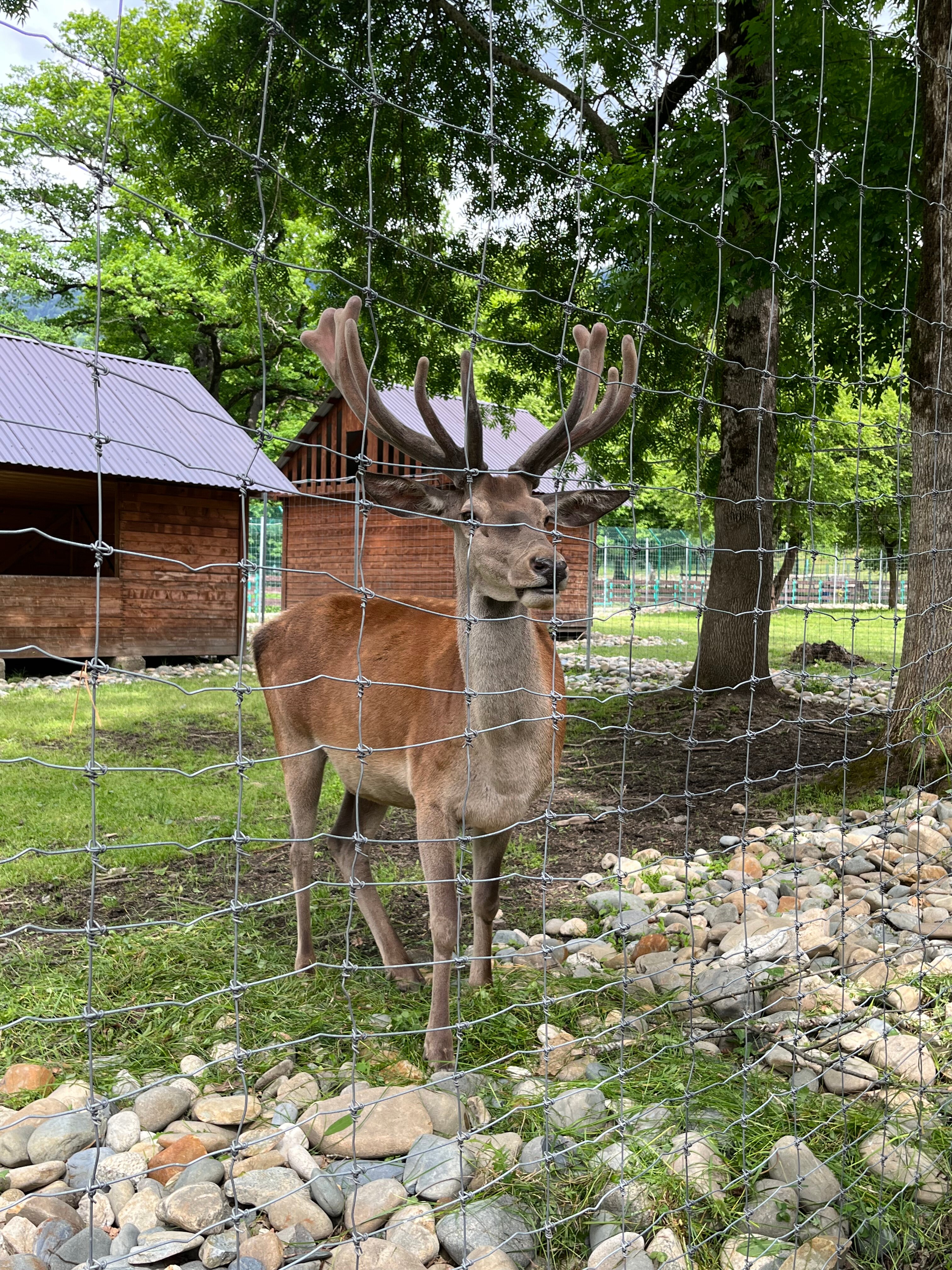 Фото Надо в Горы