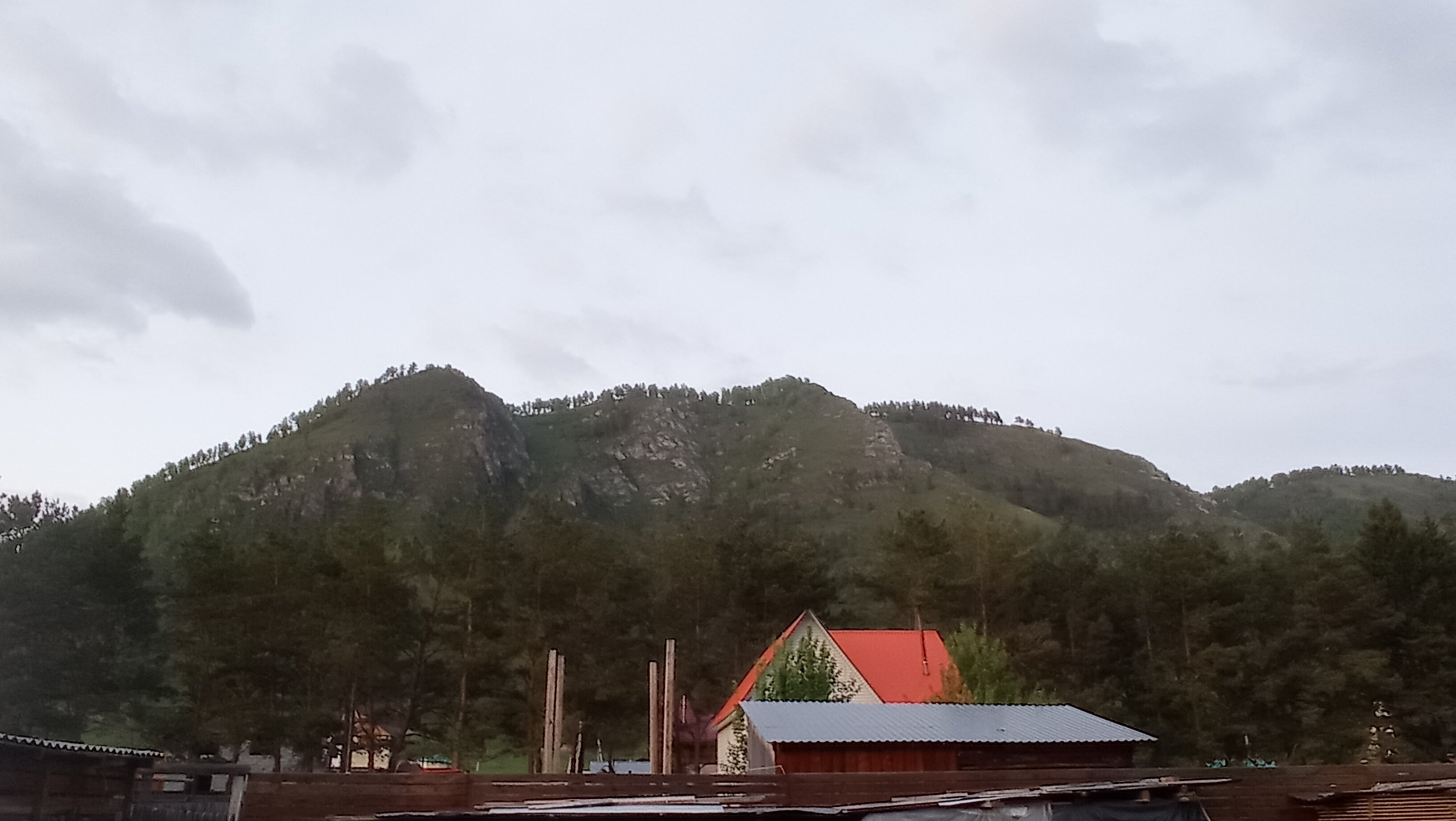 Фото Чемальское лето