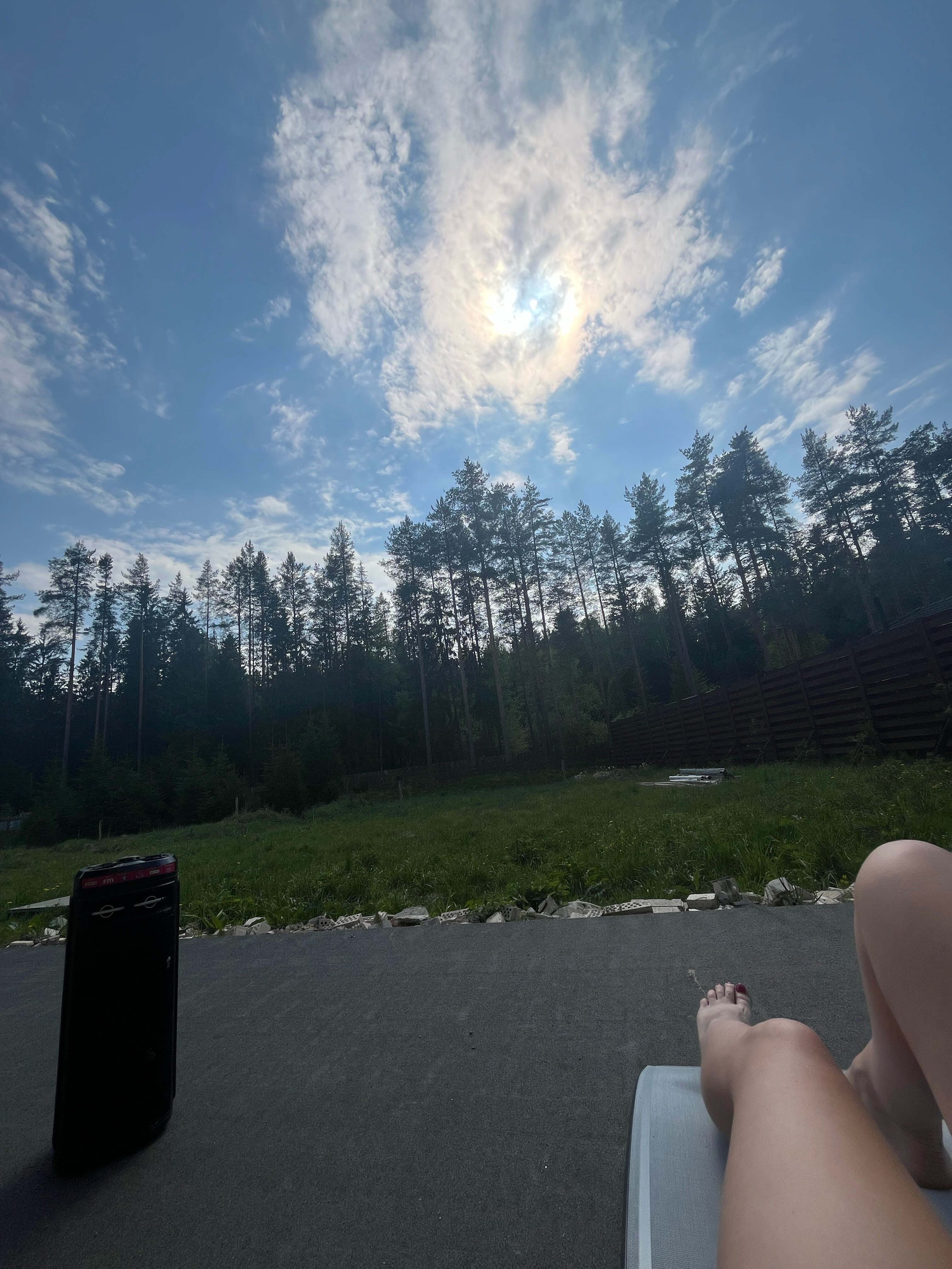 Фото Лесной дом