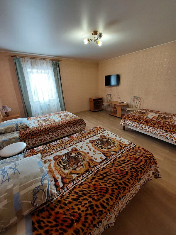Фото Парус