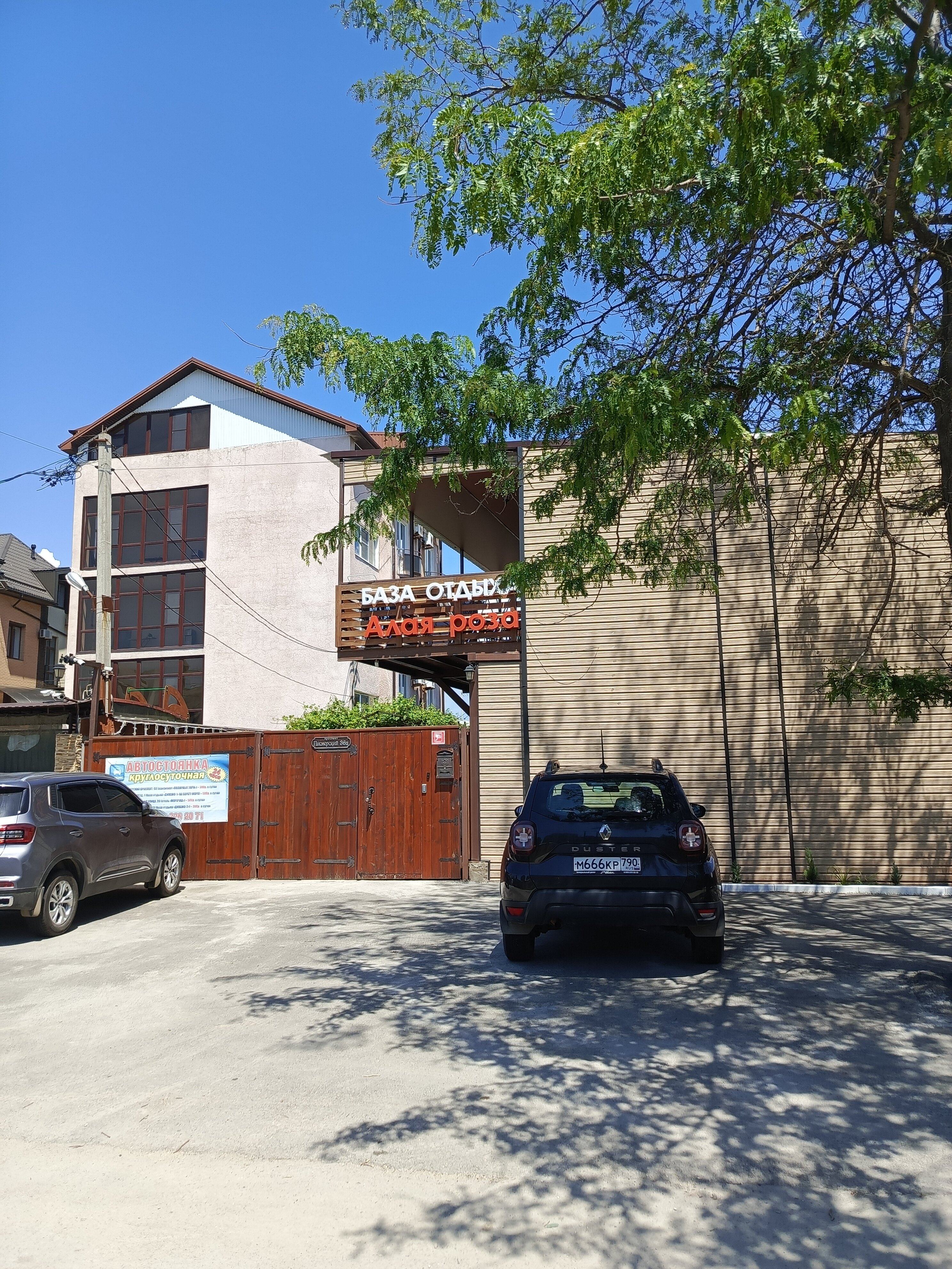 Фото Алая Роза