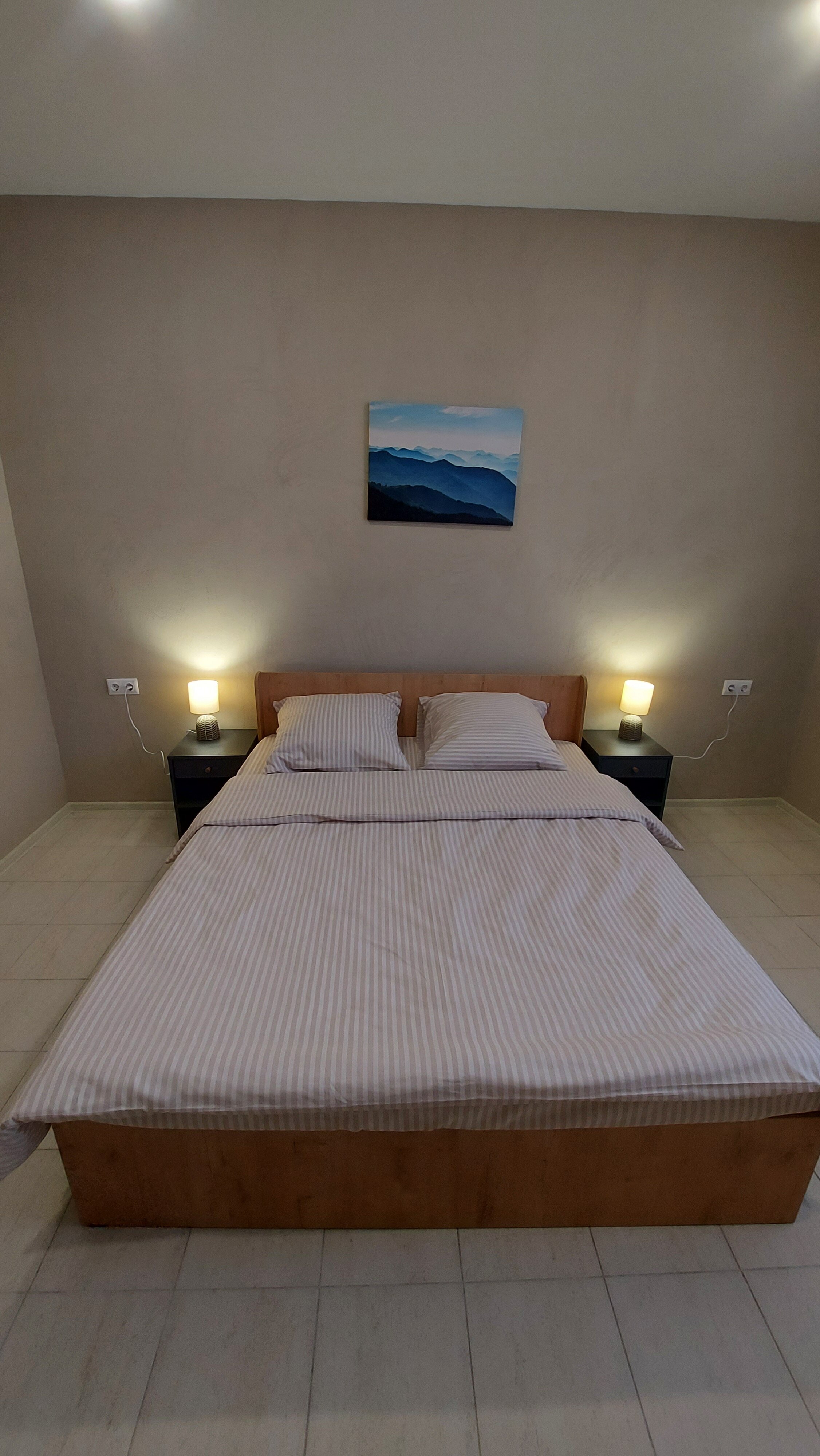 Фото Ёлки-Палки