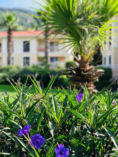 Внешний вид отеля The One Club Hotel в Ортадже, фото 5