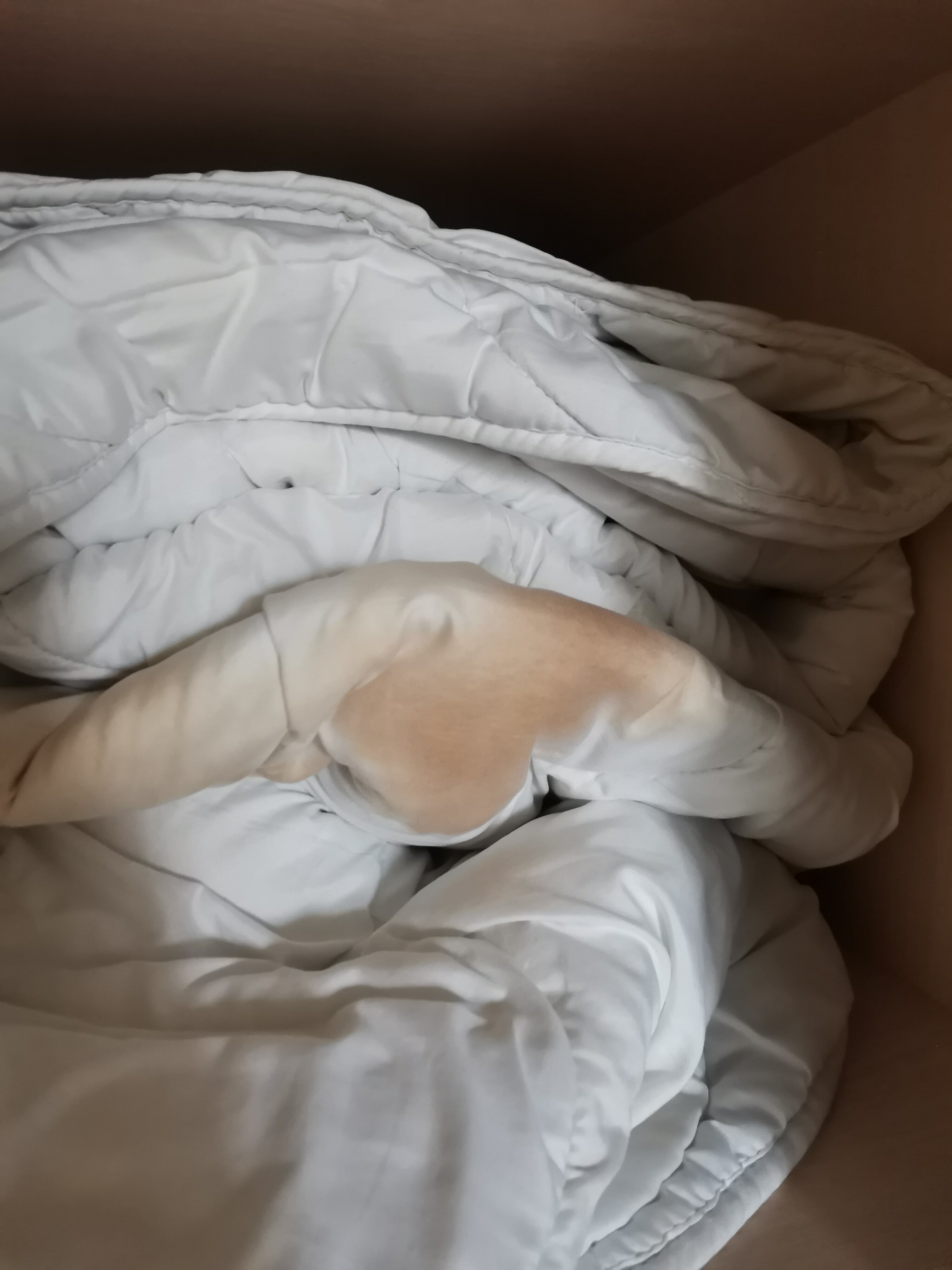 Фото Степаненков на Есенина 4