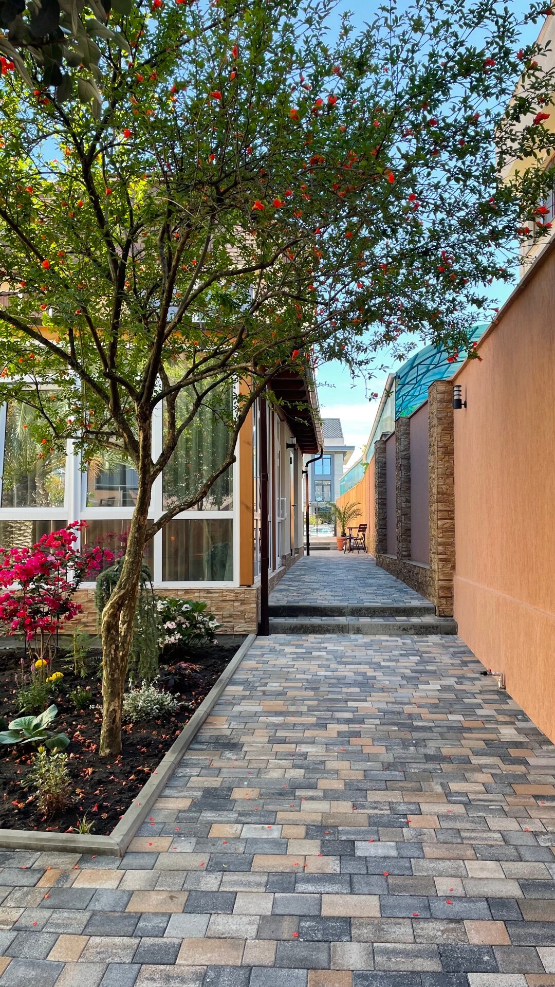 Фото Колибри