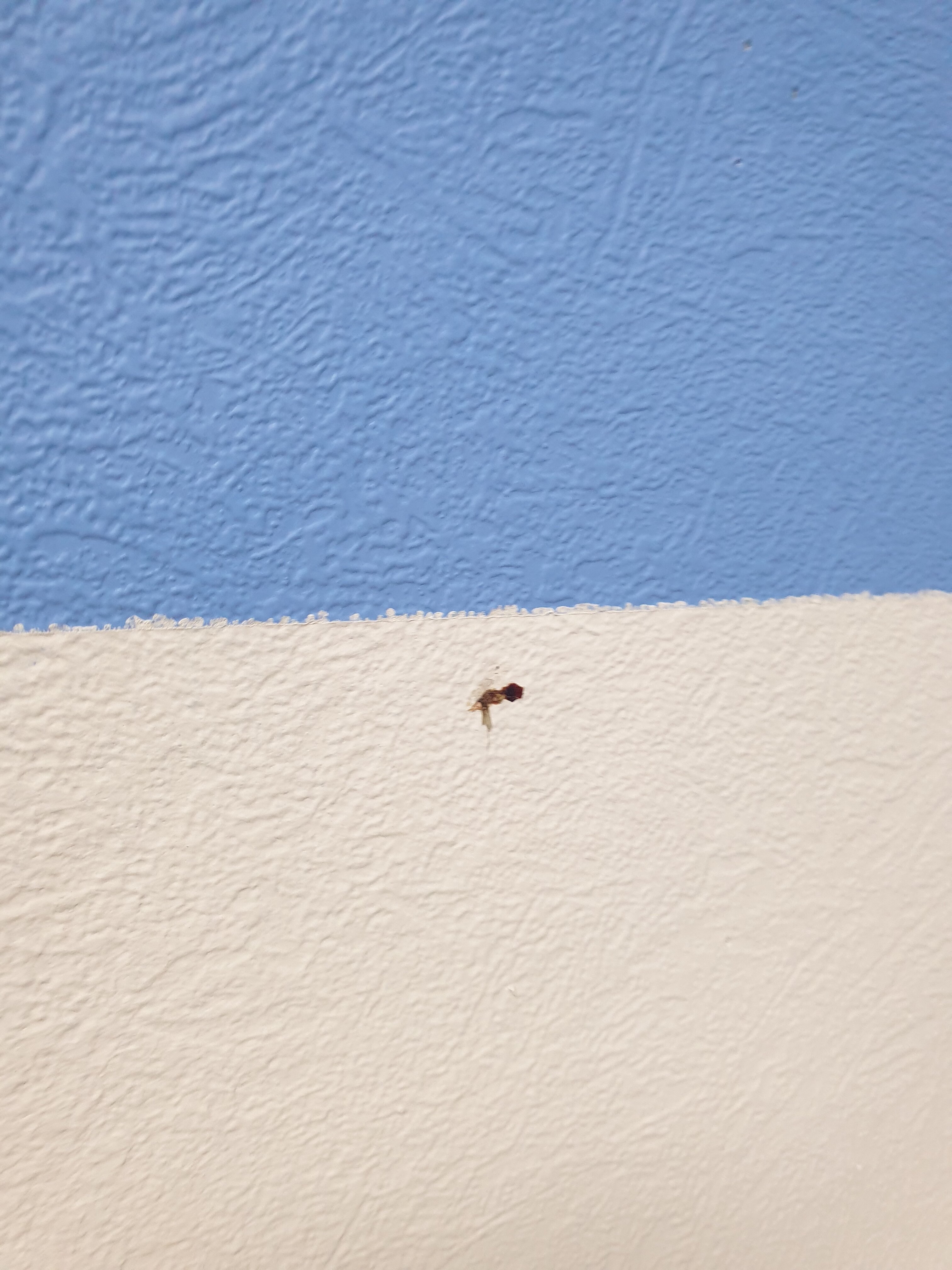 Фото Life Retreat