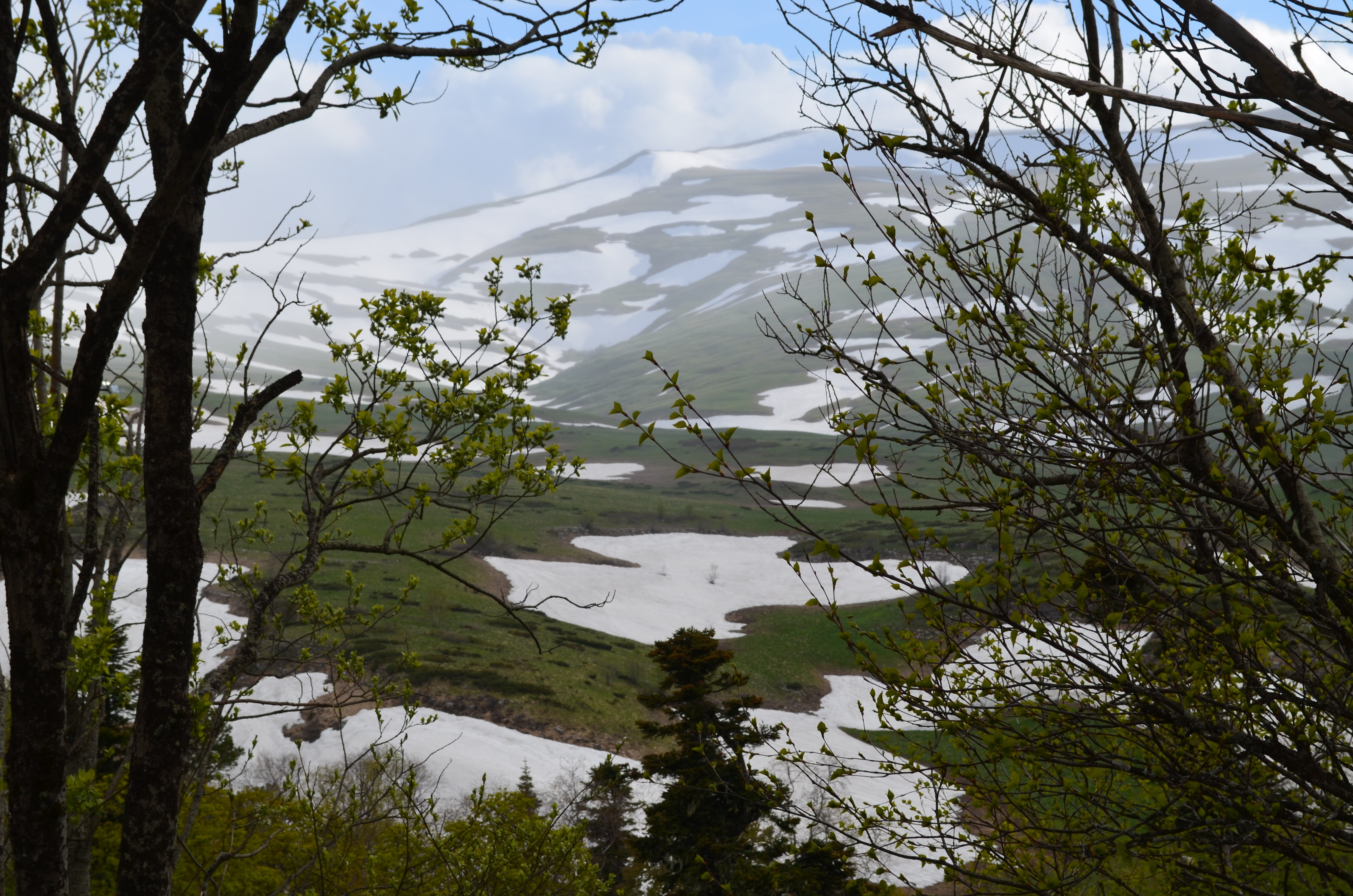 Фото Прохладный