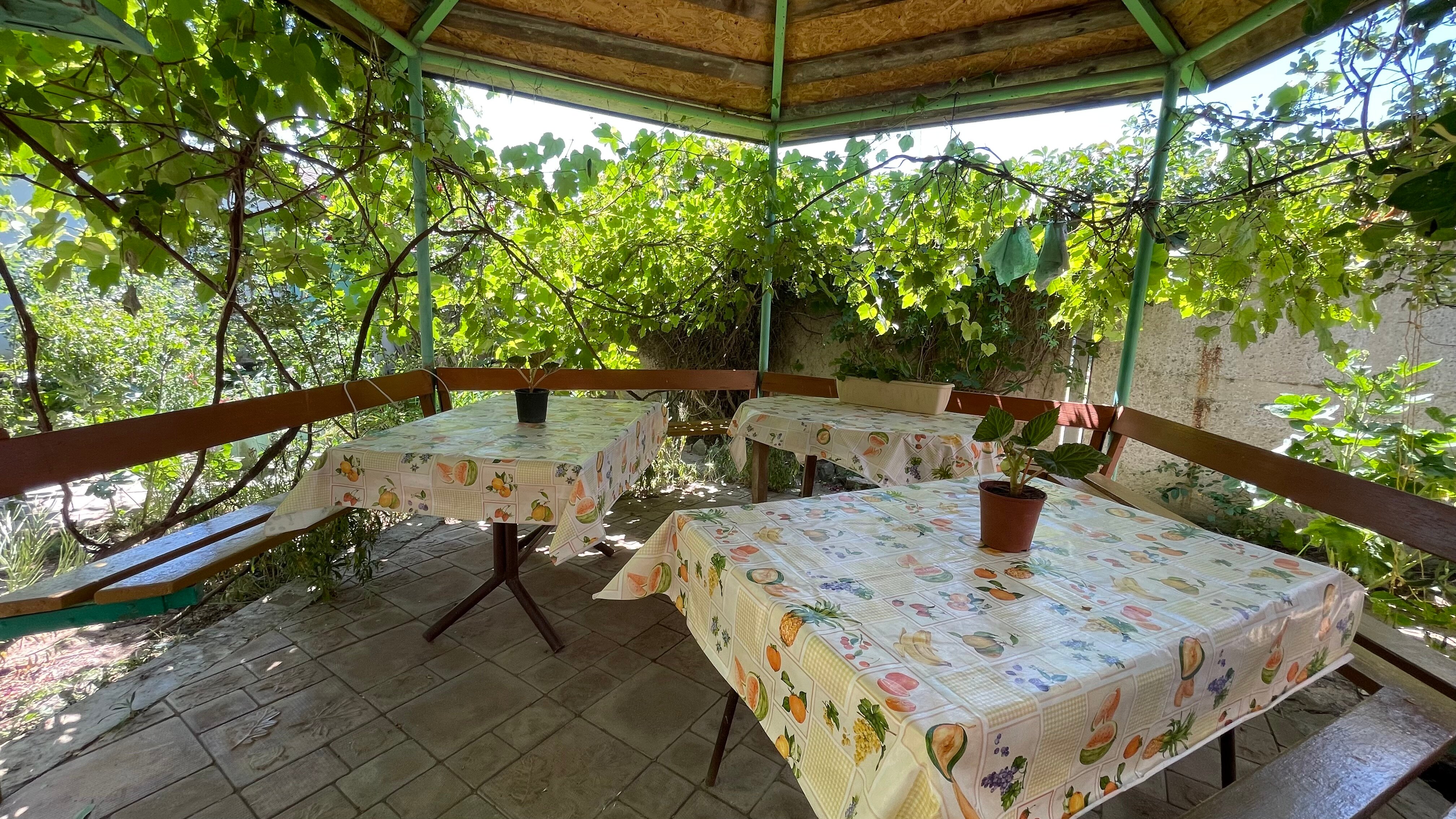 Фото КристОля