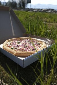 محل صنع البيتزا La Pizza Bomba ، ، صورة