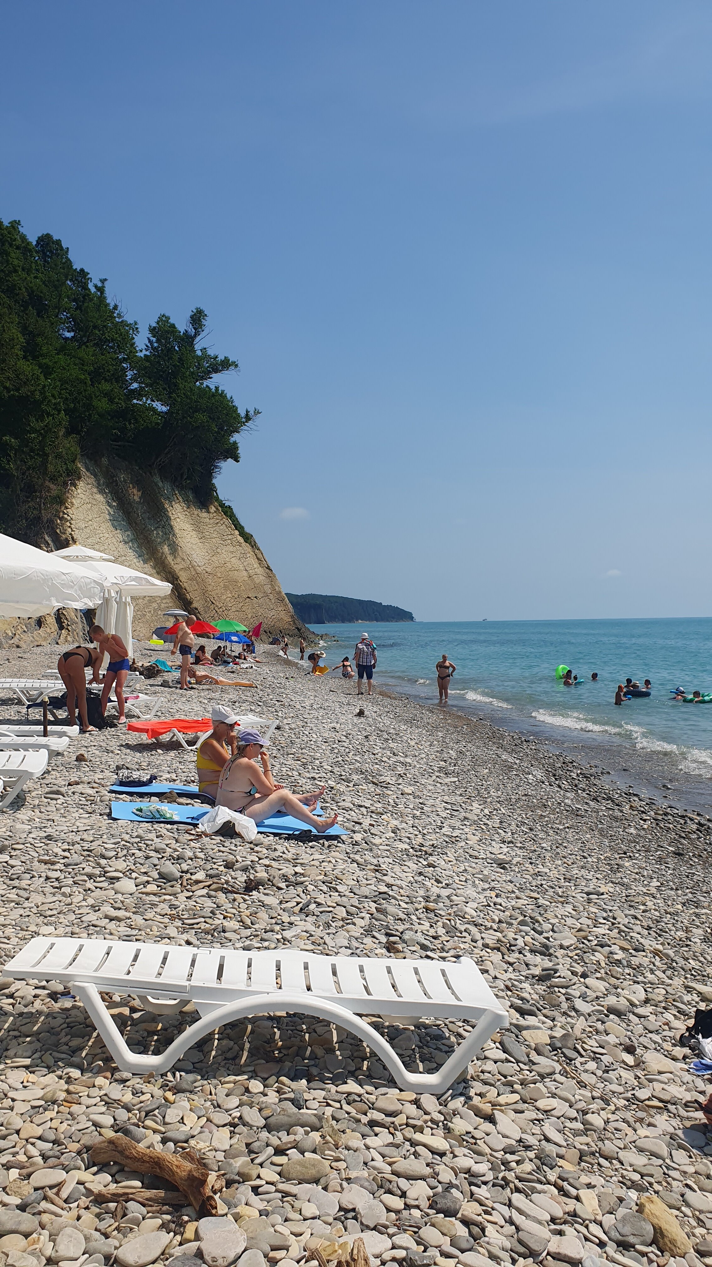 Фото Ежевика