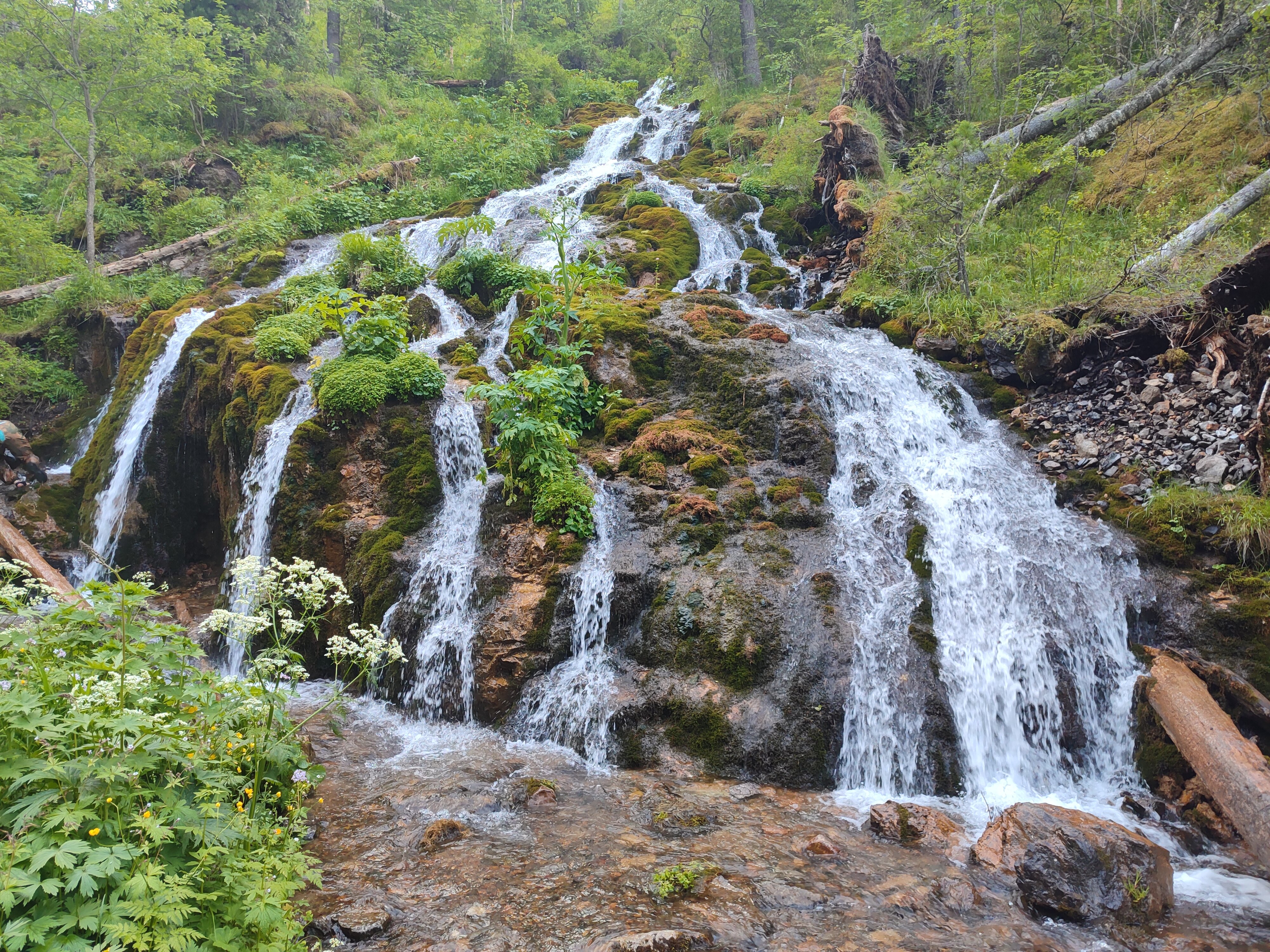 Фото Усадьба Теремок