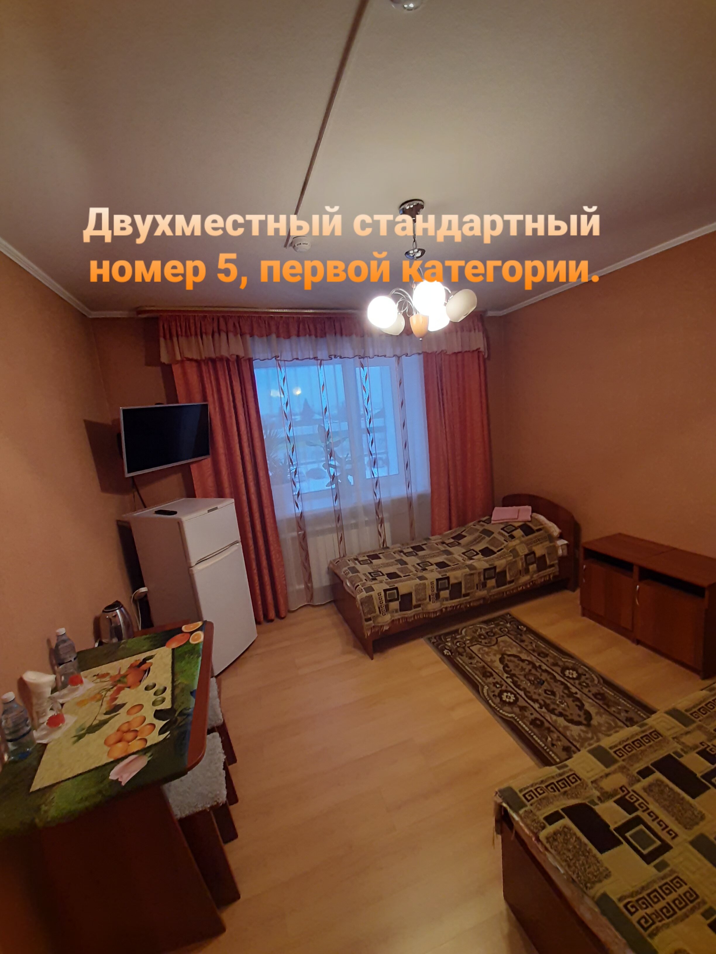 Фото Колибри