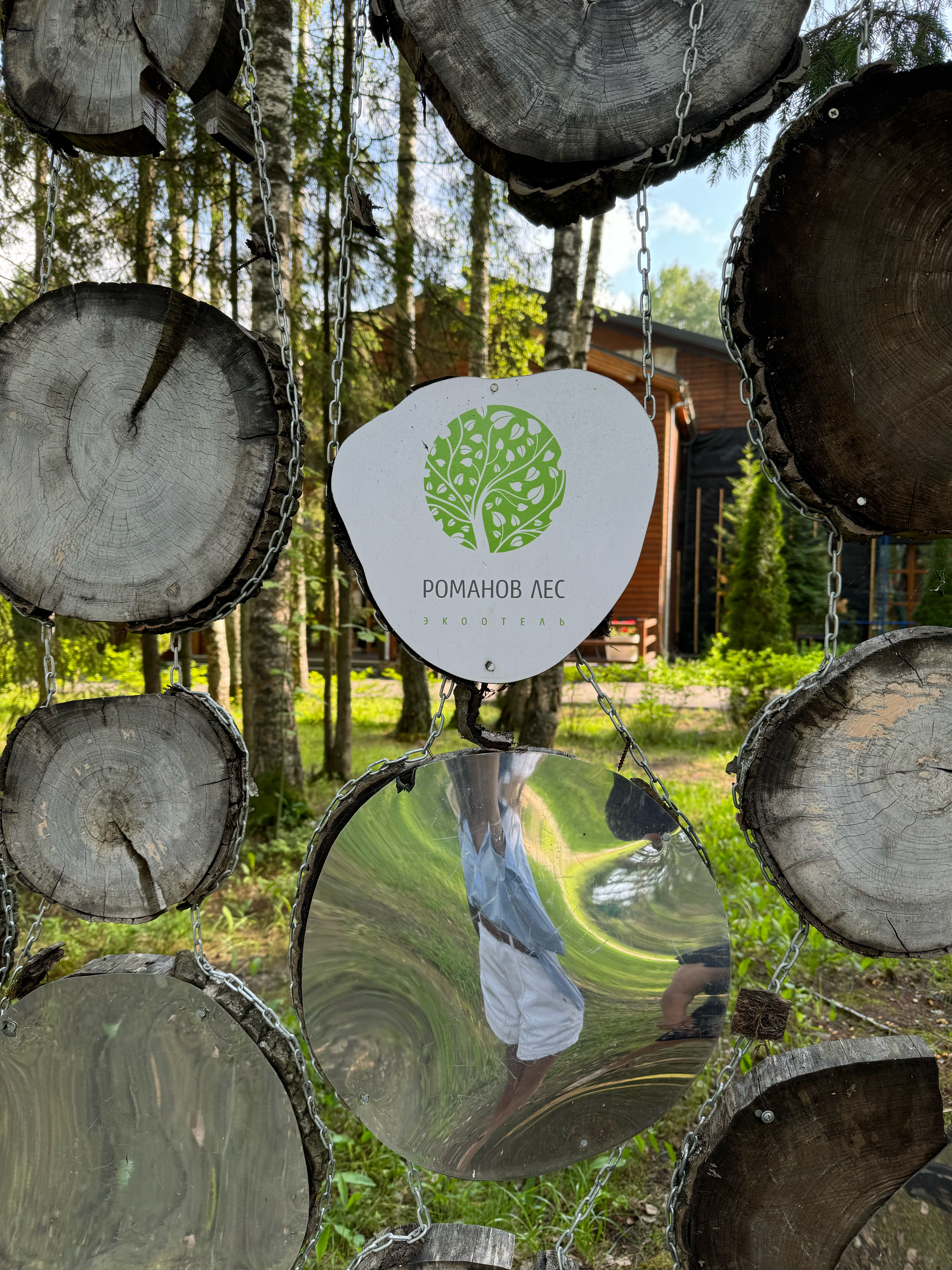 Фото Романов лес