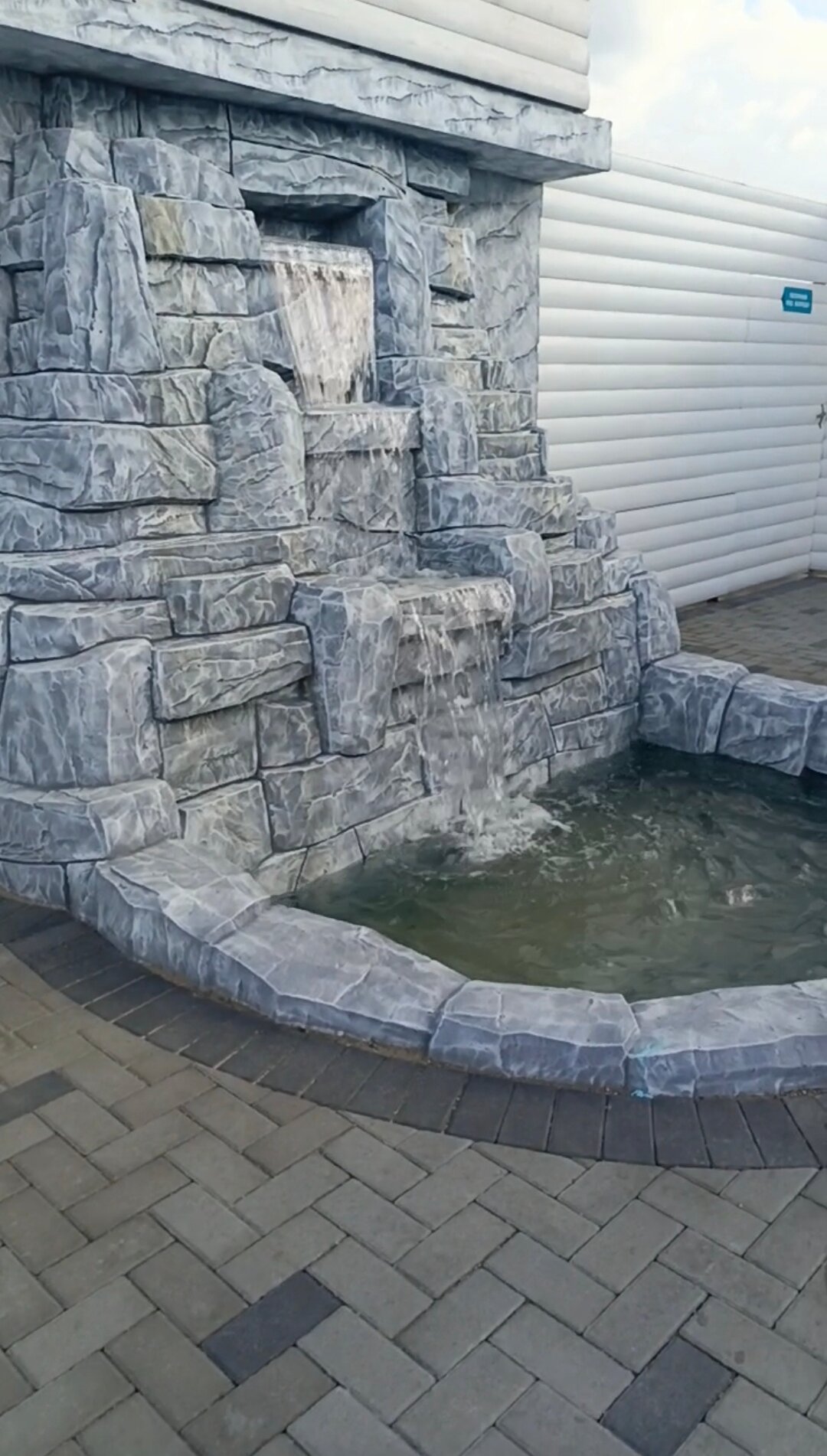 Фото Белый кит