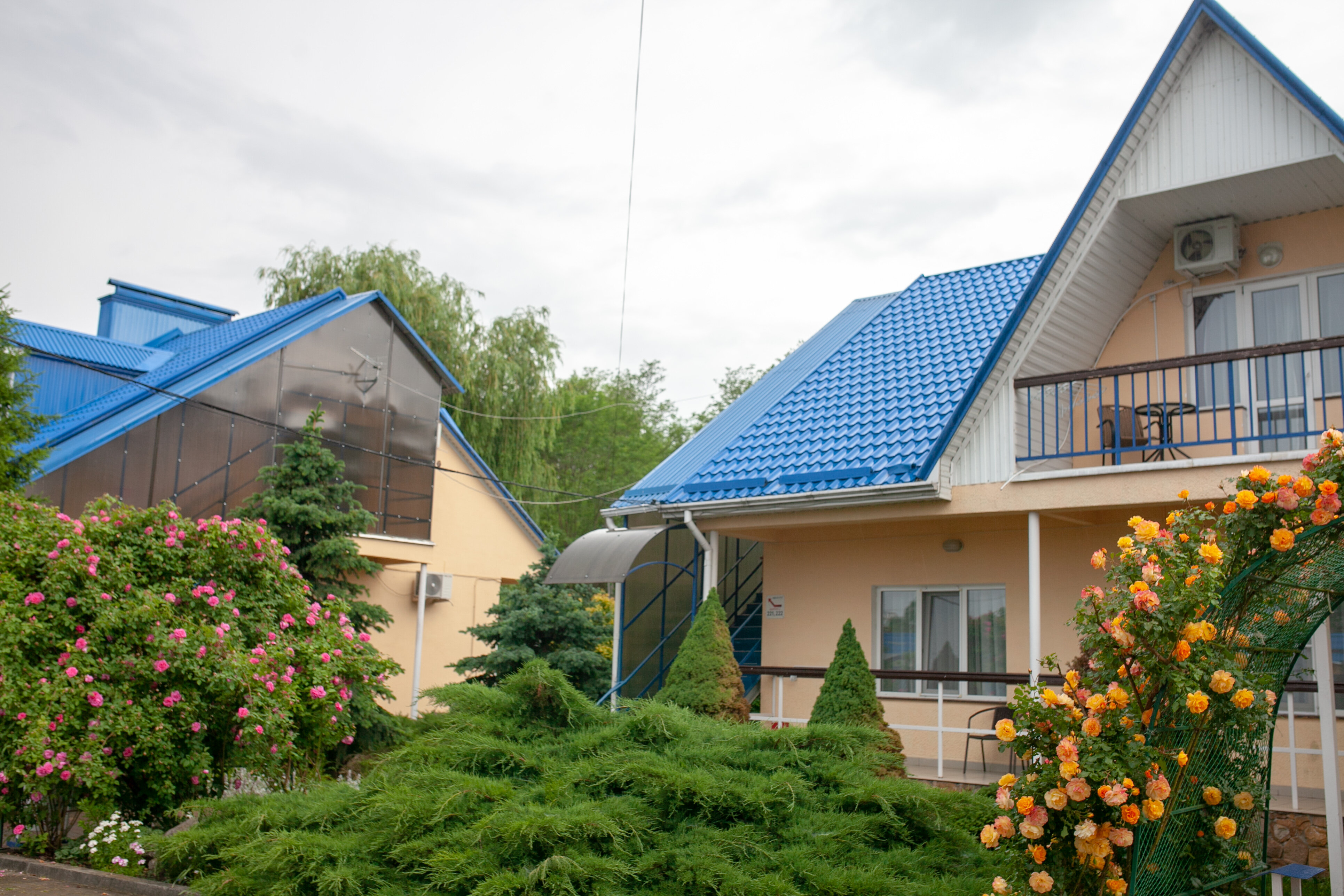 Фото Аква-Вита