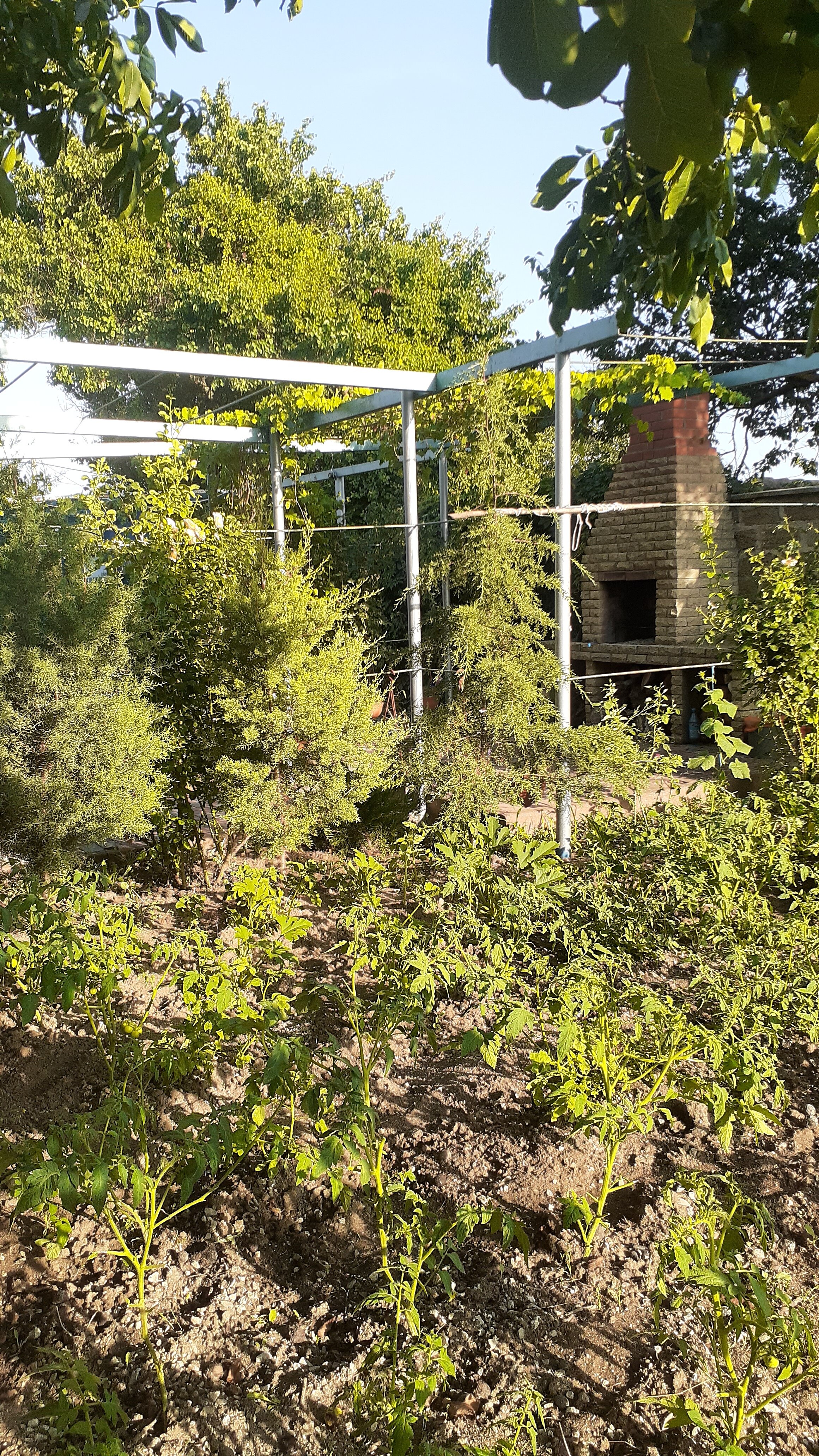 Фото Морская сказка