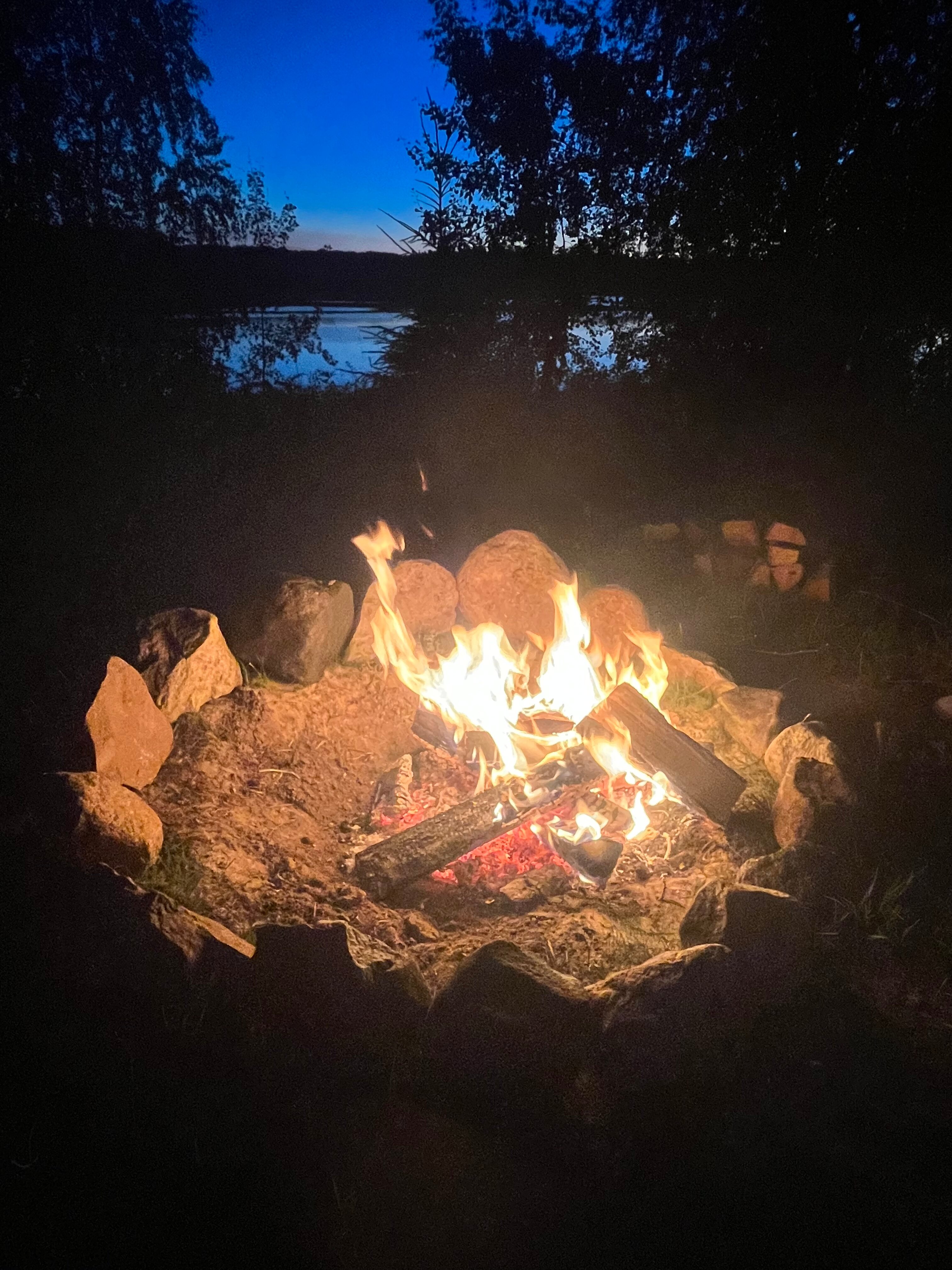 Фото Белая Морошка