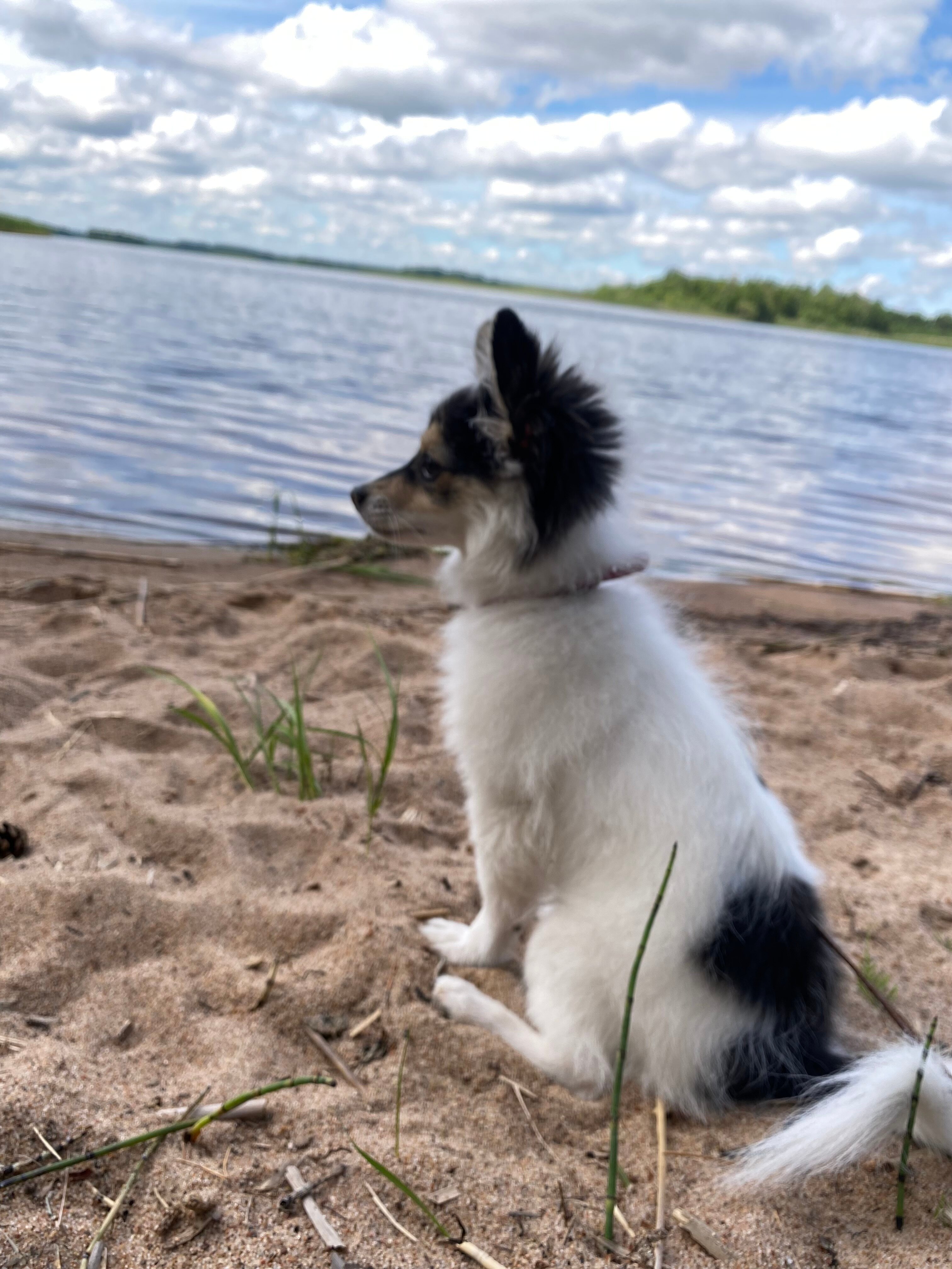 Фото Нептун