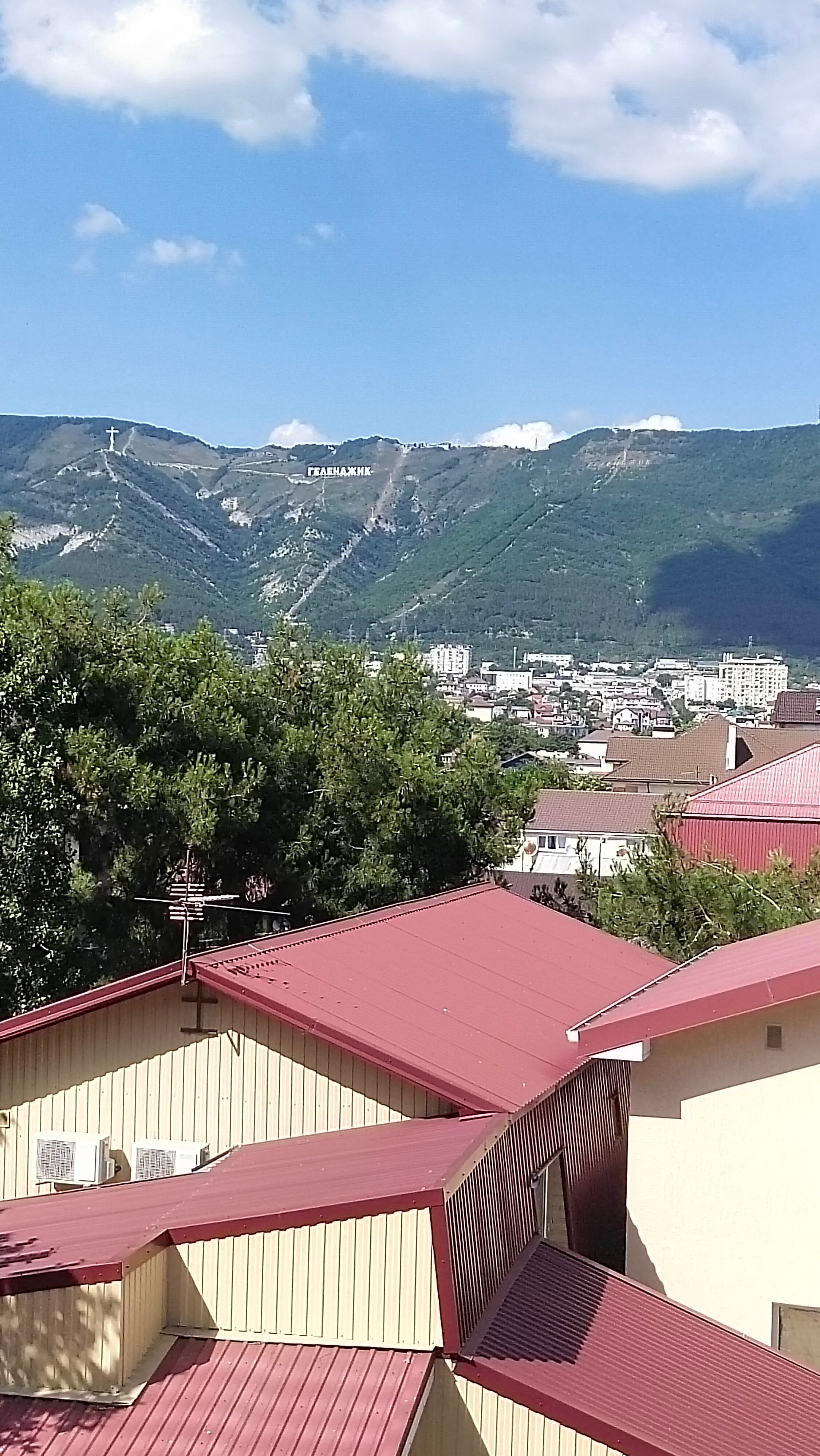 Фото Анжелика