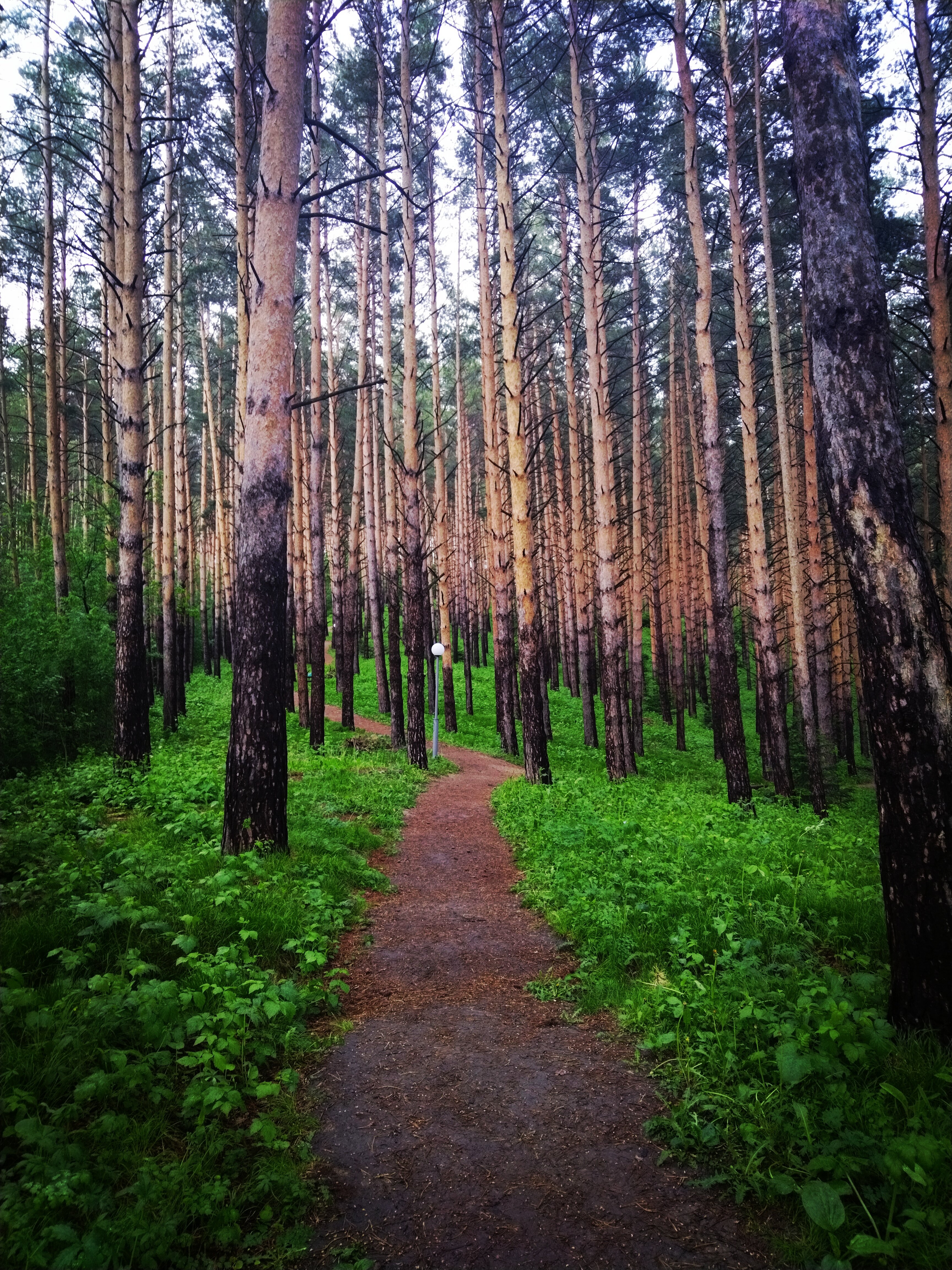 Фото Транссиб