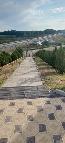 Жыныстық қатынастан кейін пискадан сперманы жалаңыз