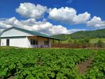 Гостевой дом (selo Shebalino, ulitsa Stroiteley, 9А), hotel