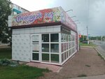 Tsvety radosti (ulitsa Kalinina, 83/1), flower shop