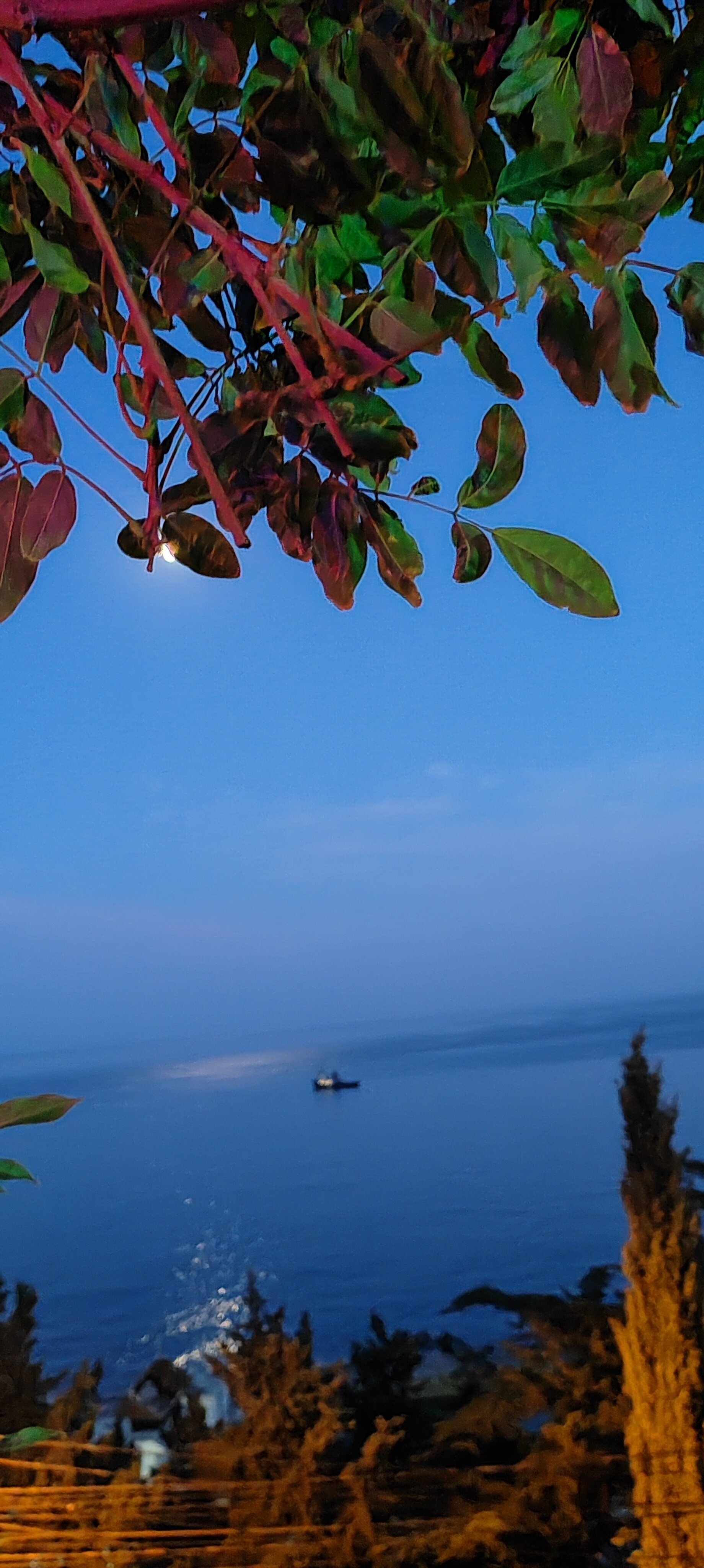 Фото Парк Симеиз