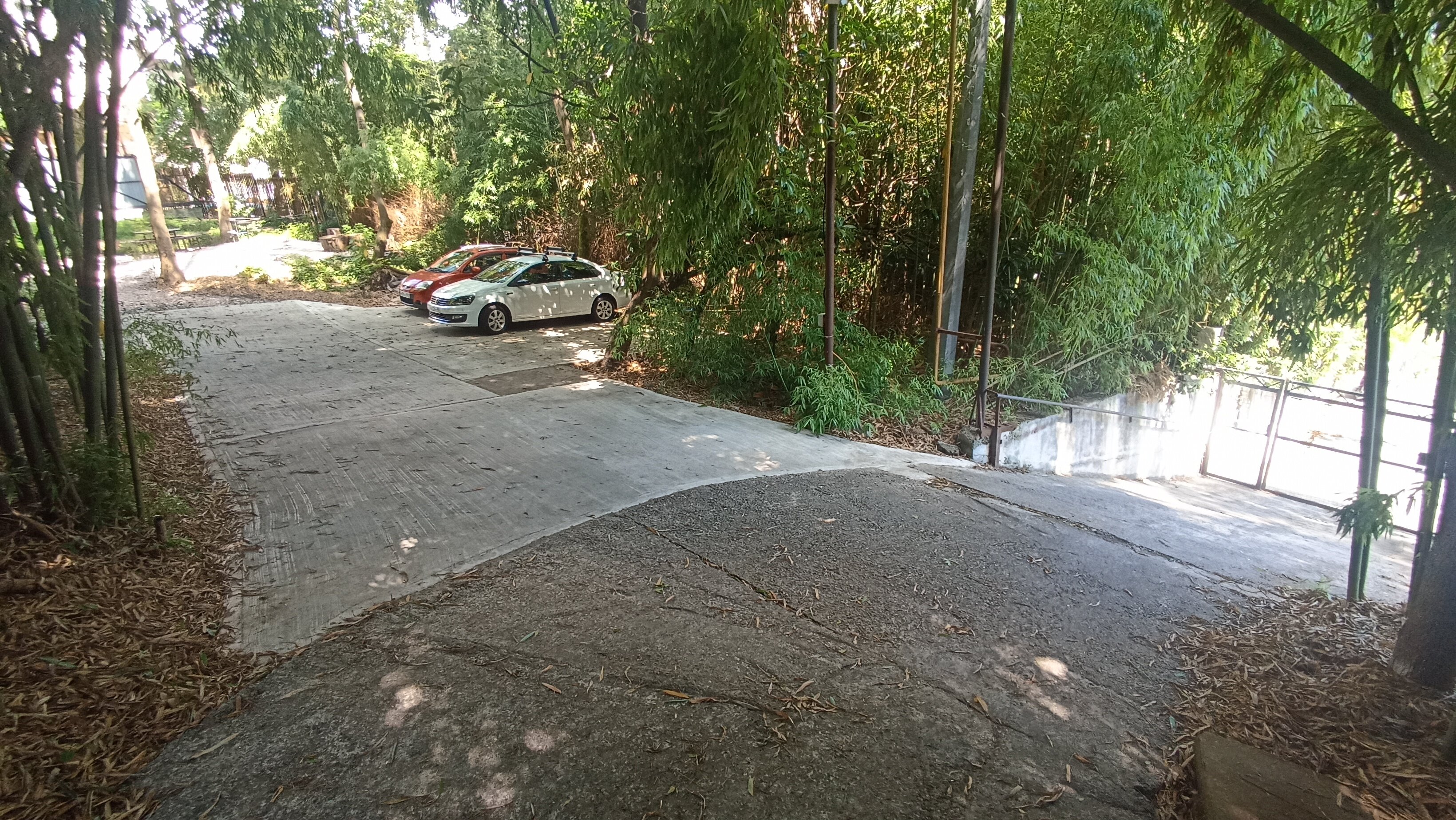 Фото Бамбуковая Роща