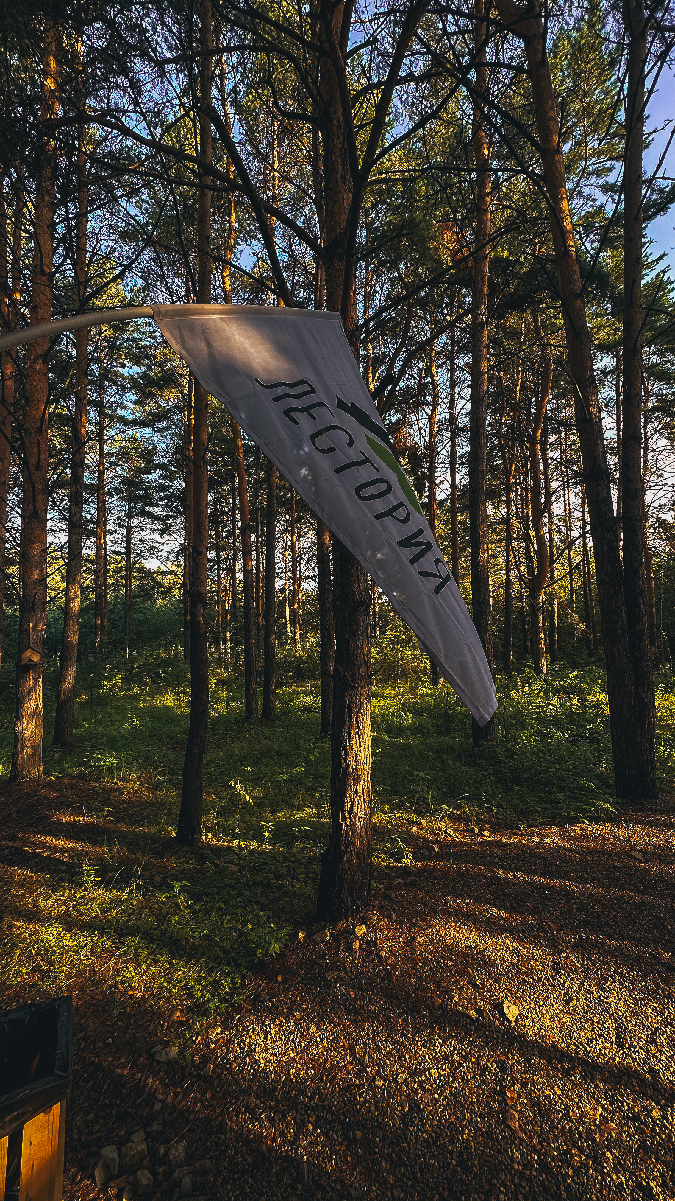 Фото Лестория