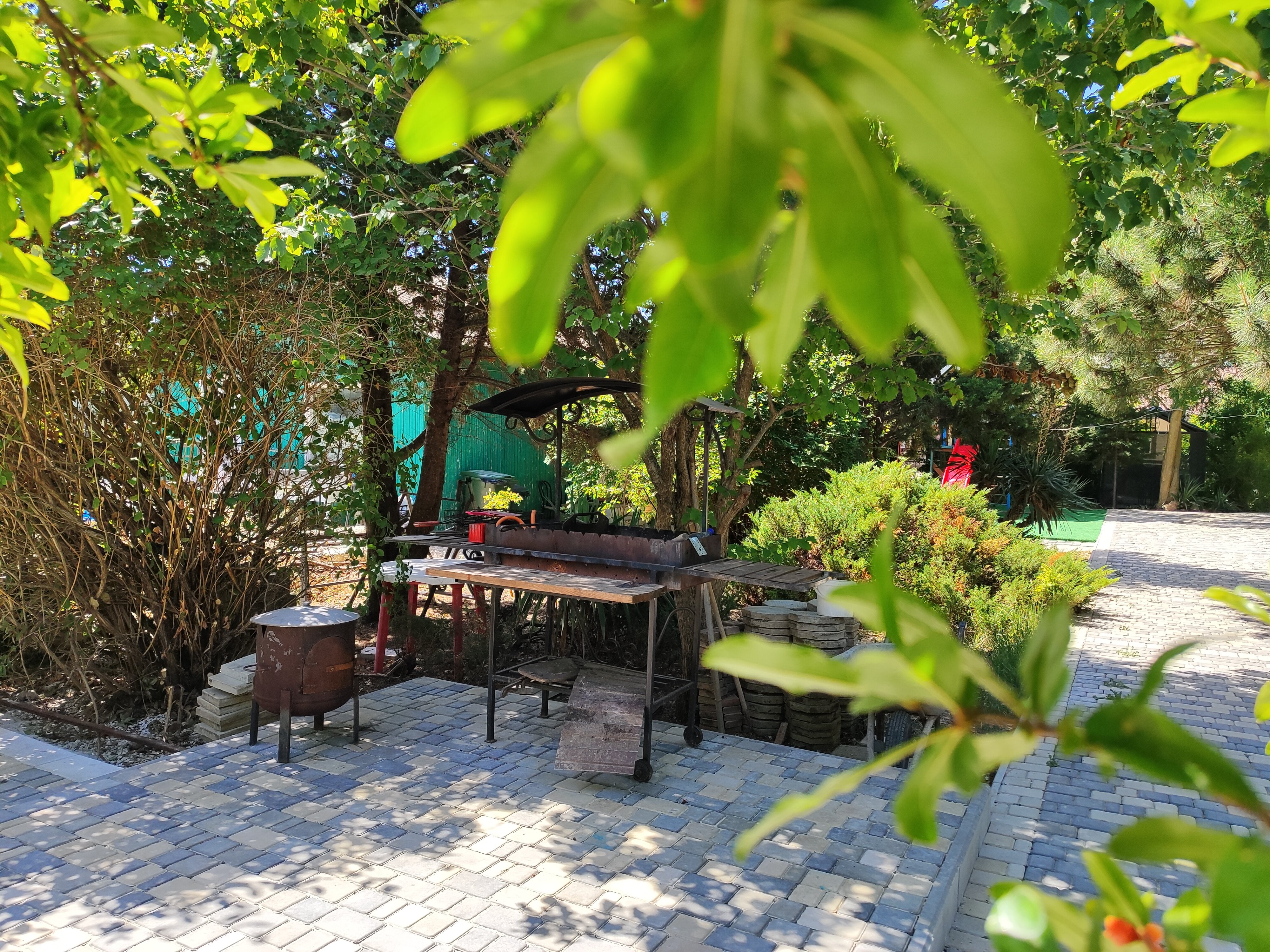 Фото Солнышко