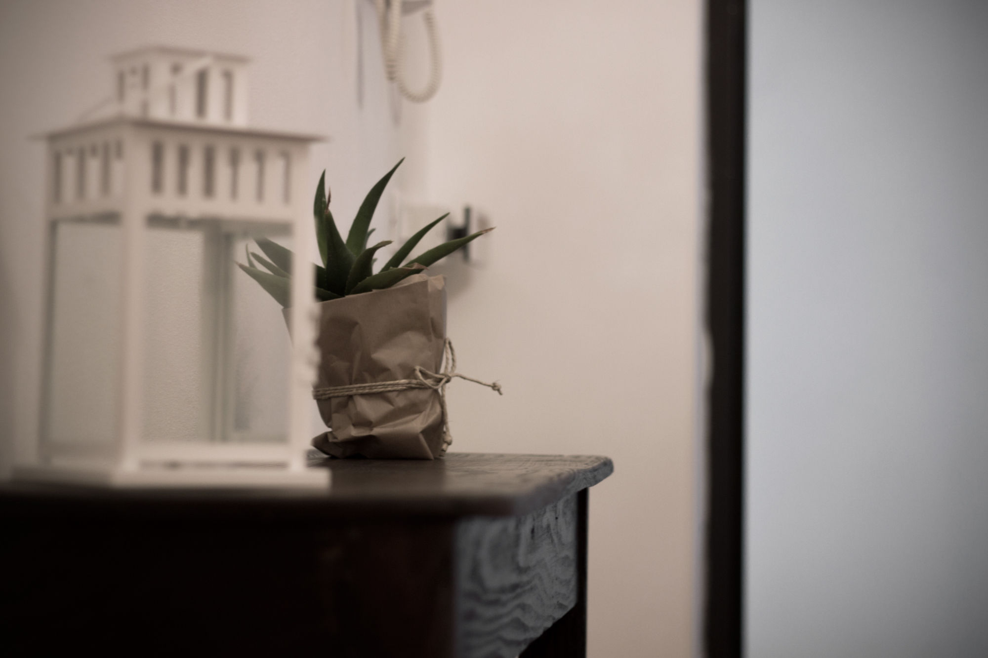 Фото B&b Gallidoro Maqueda 124 st