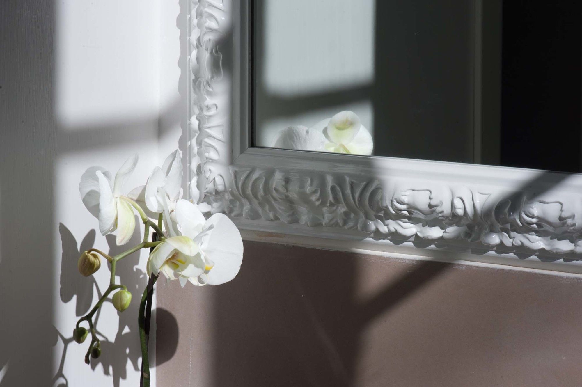 Фото Imperia Suite