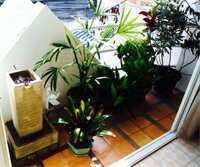 Фото Corner Cafe Bed and Breakfast