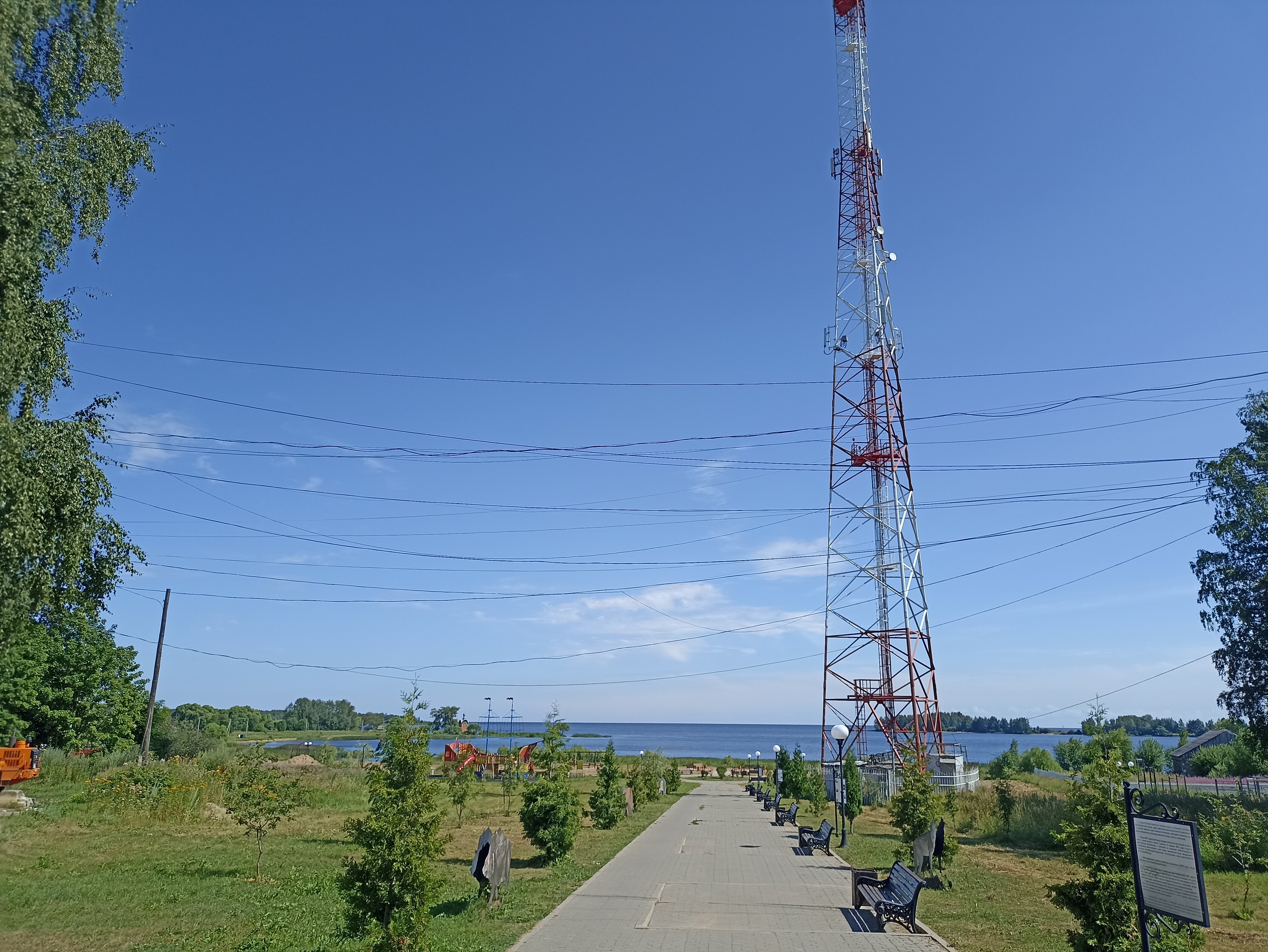 Фото Ситинка
