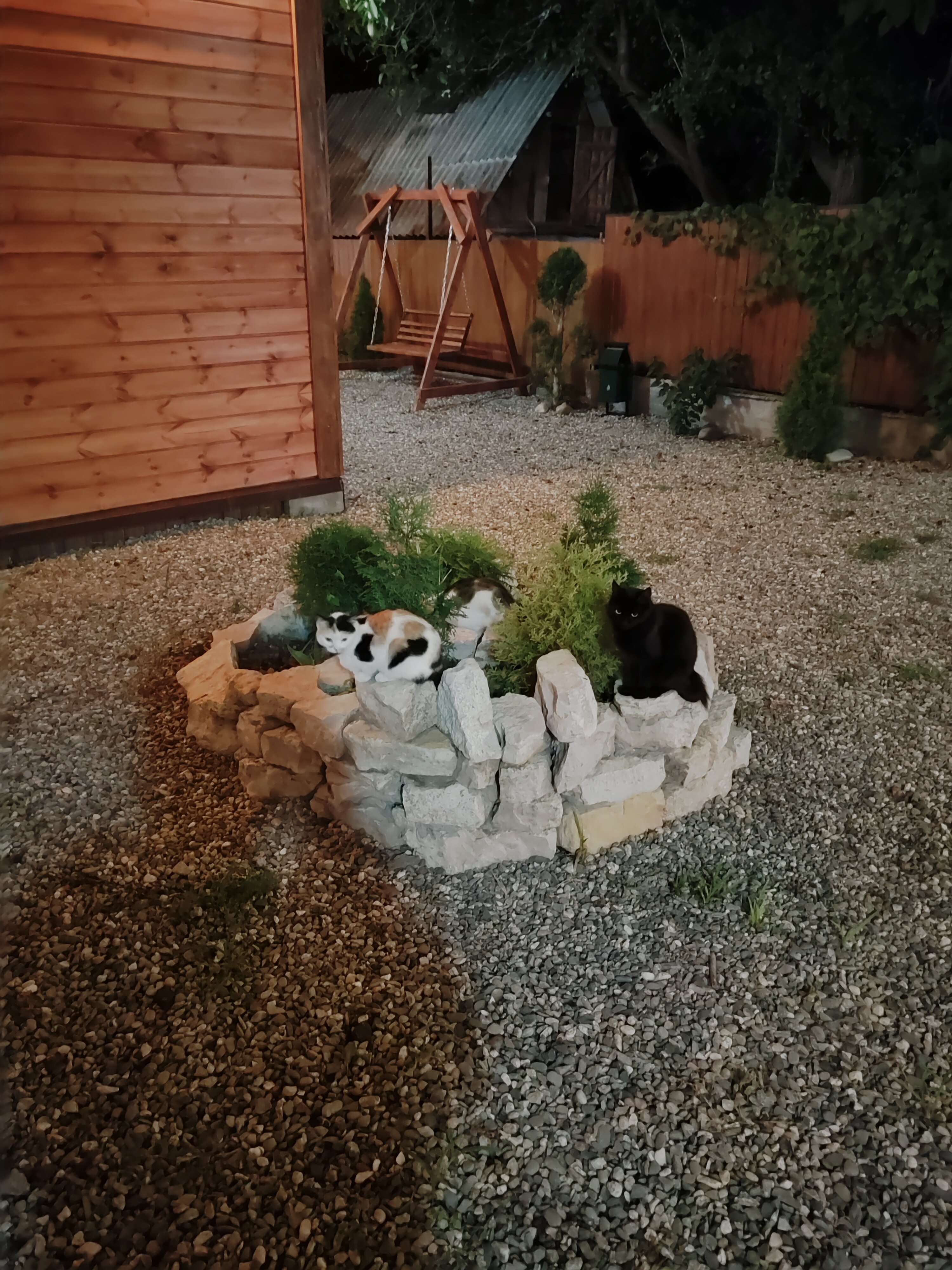 Фото Проксима