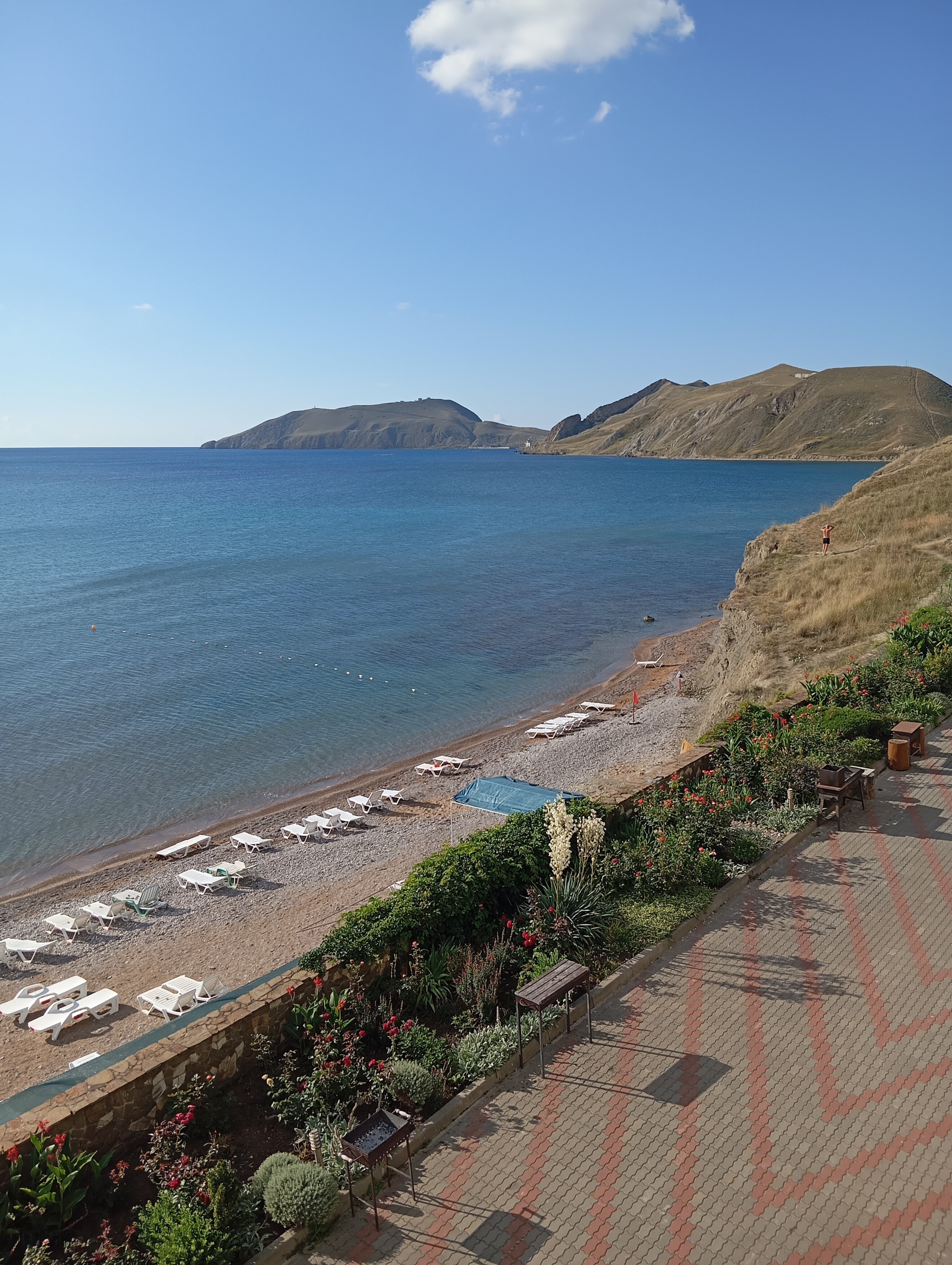 Фото Эллинг у Зои