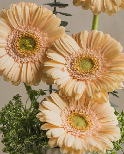 Flower shop Elysian flowers boutique, Abu Dhabi, photo