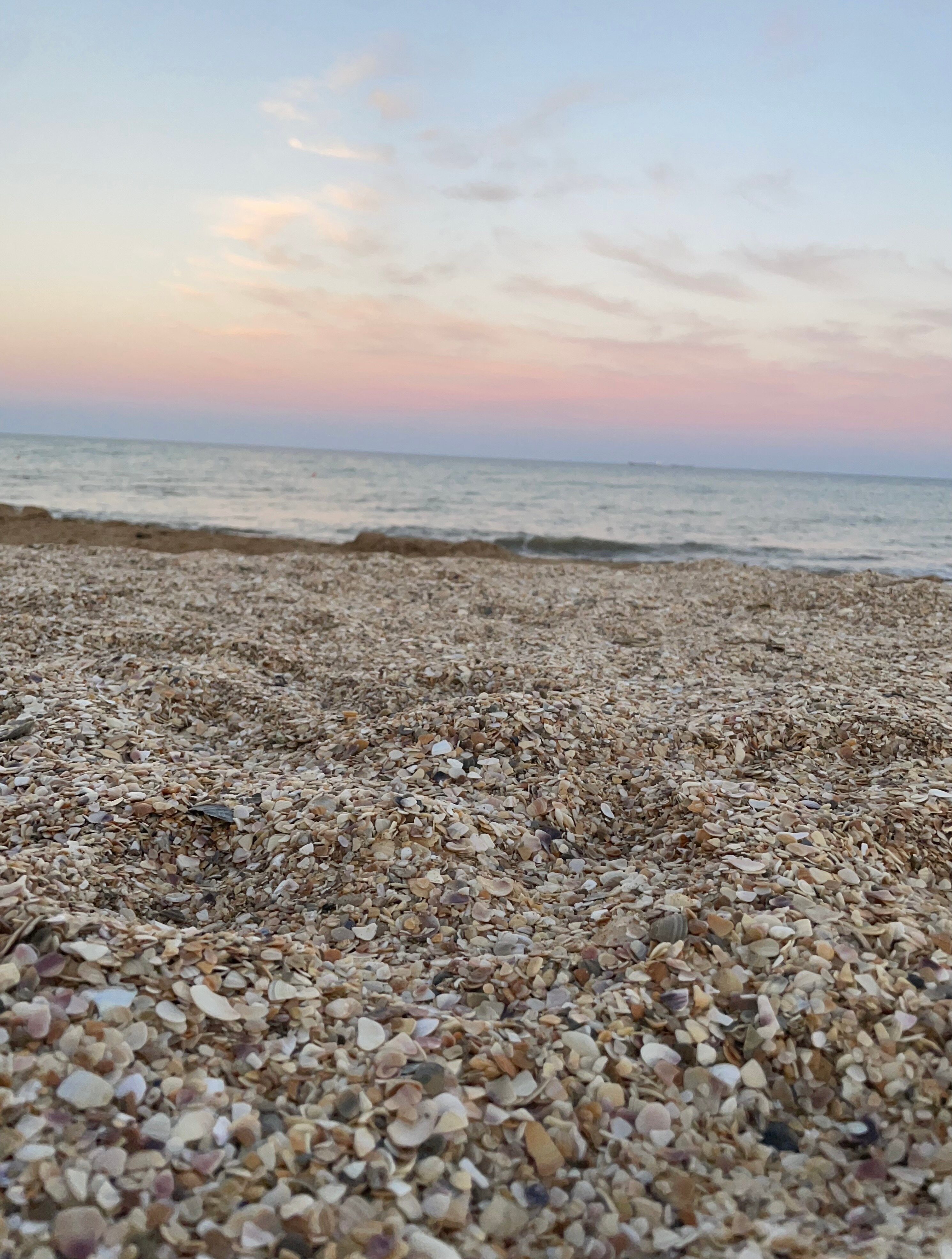 Фото Экзотик