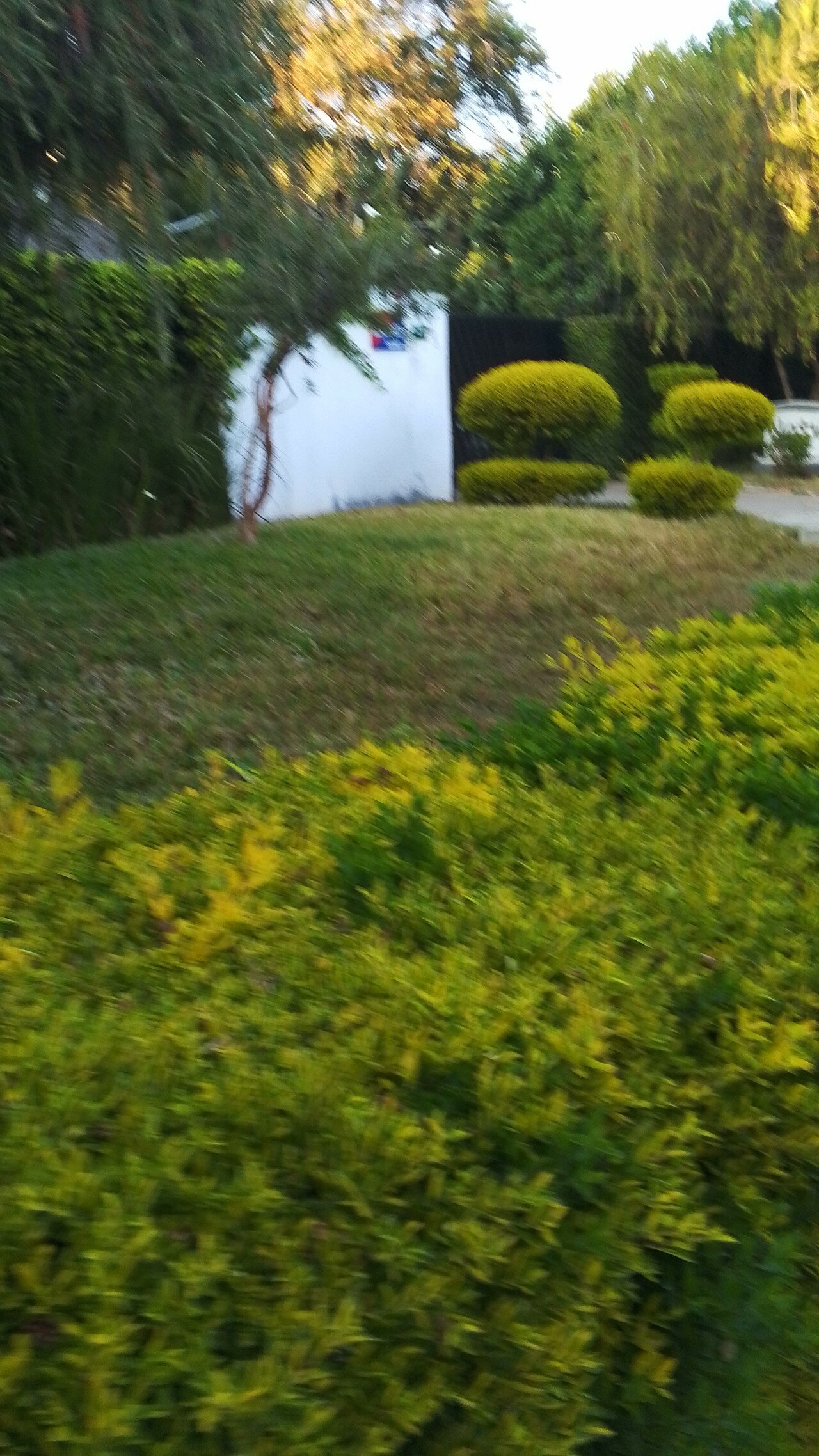 Фото Natwange Backpackers