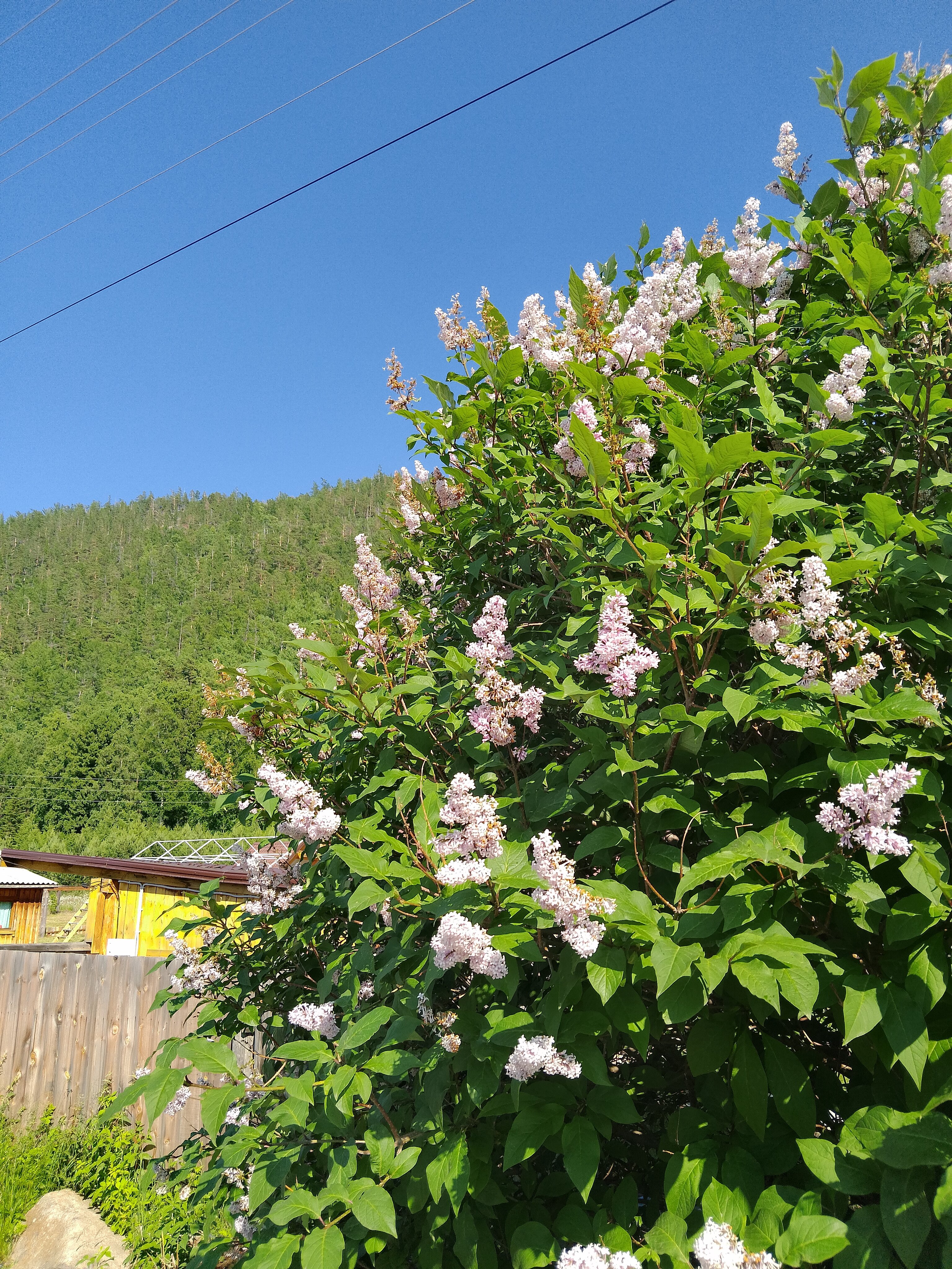 Фото Байкал Пеко