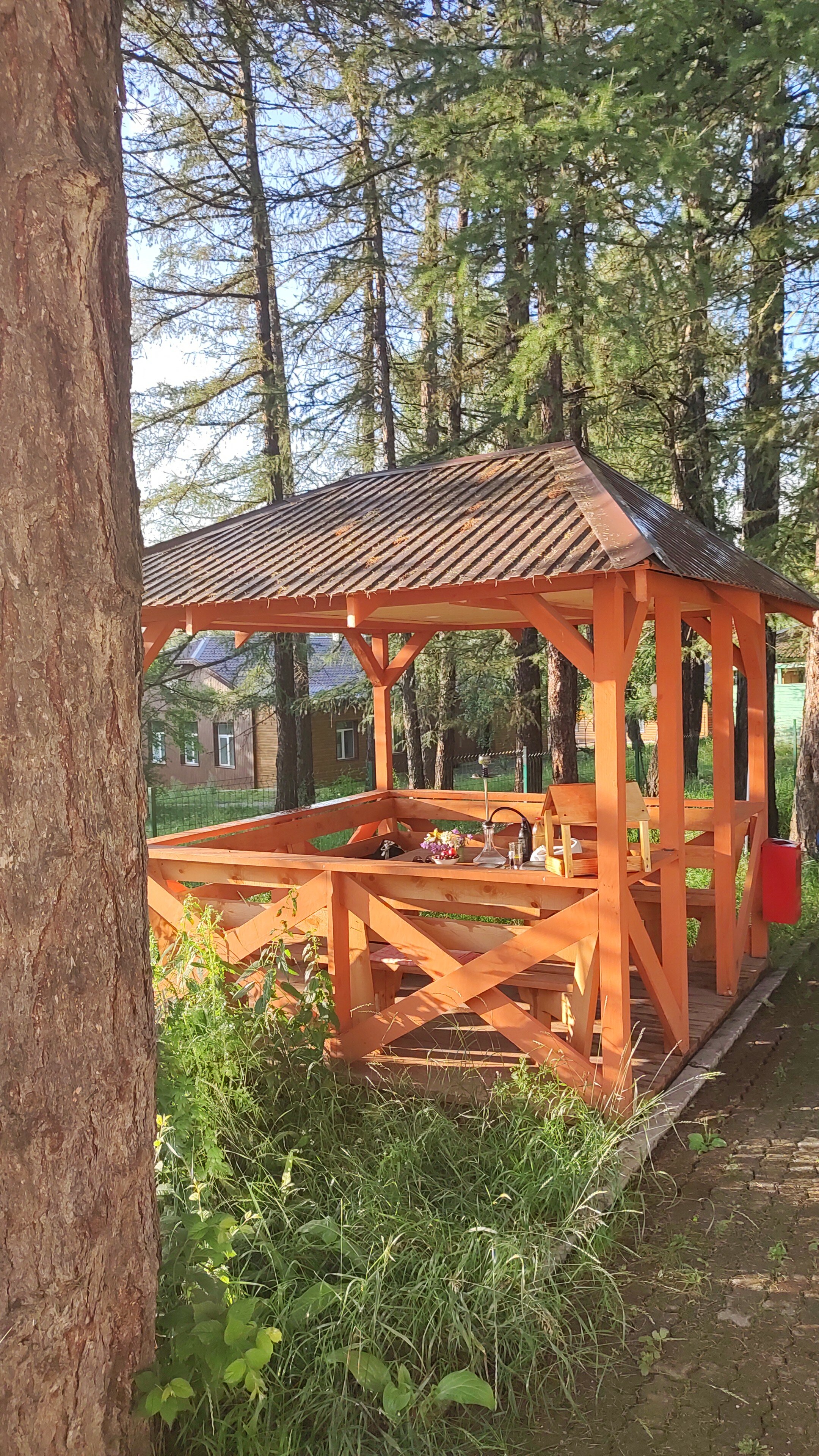 Фото Орленок