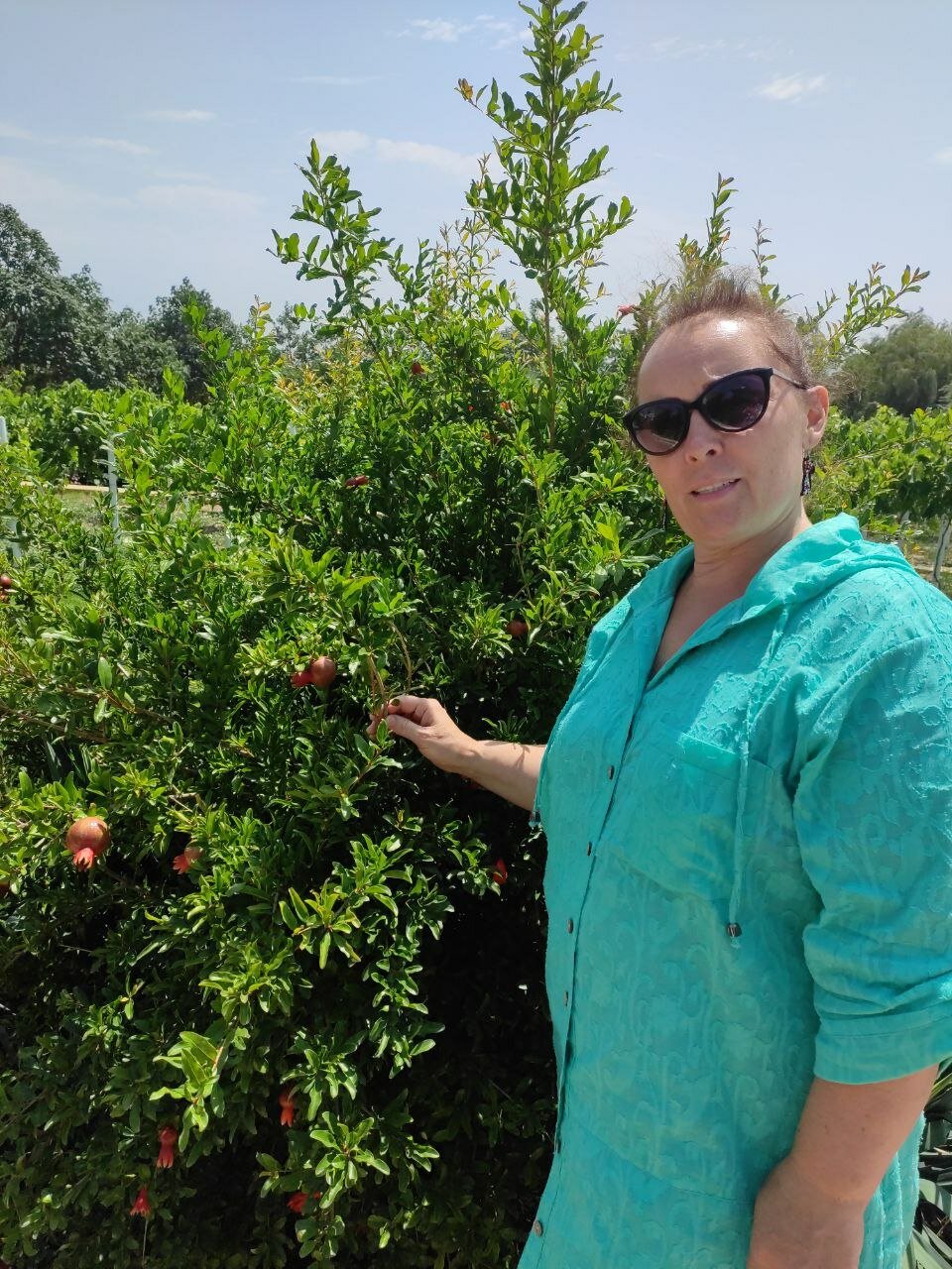 Фото Отель Лайнер