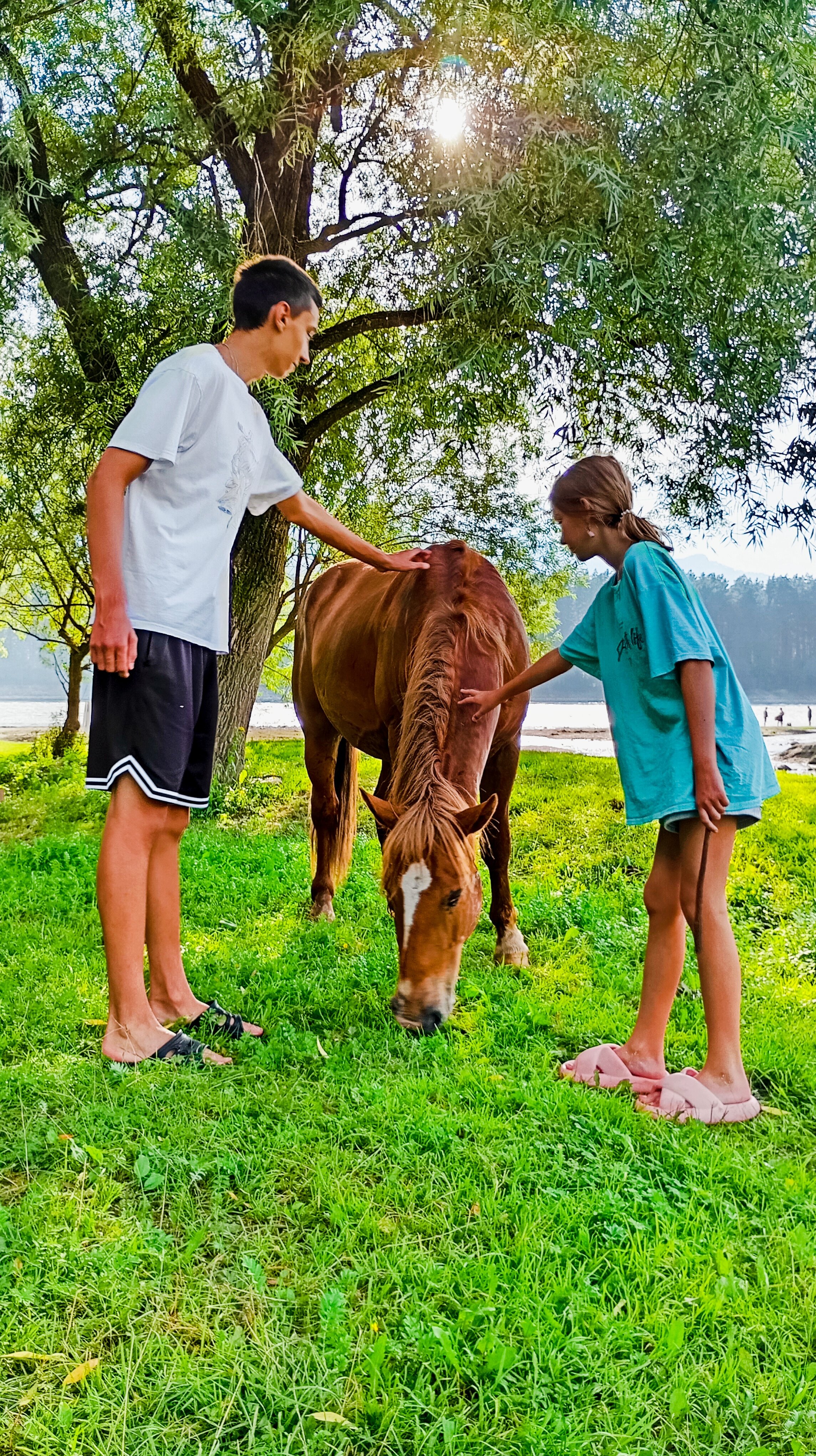 Фото Дежавю