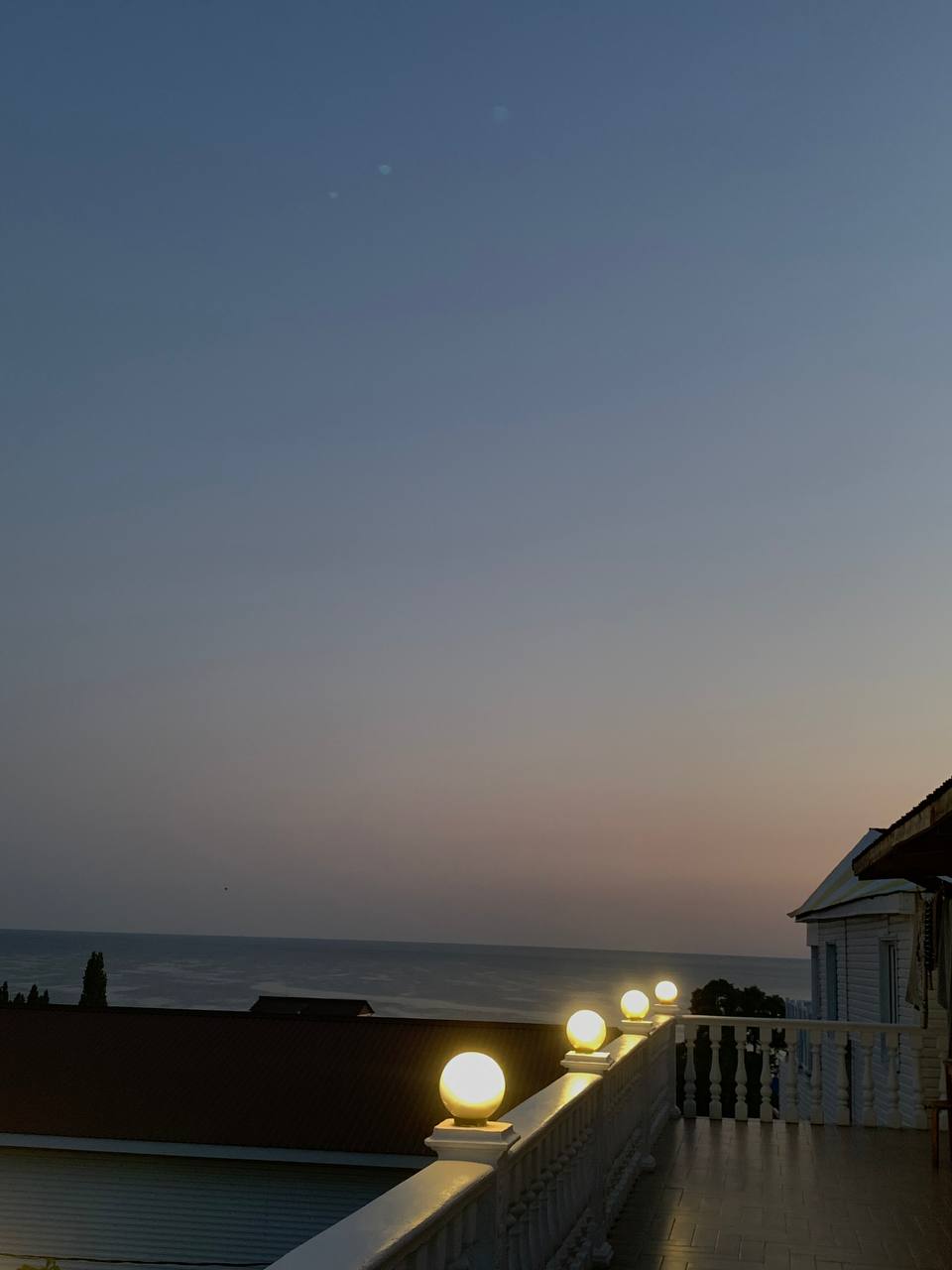 Фото Дельфин