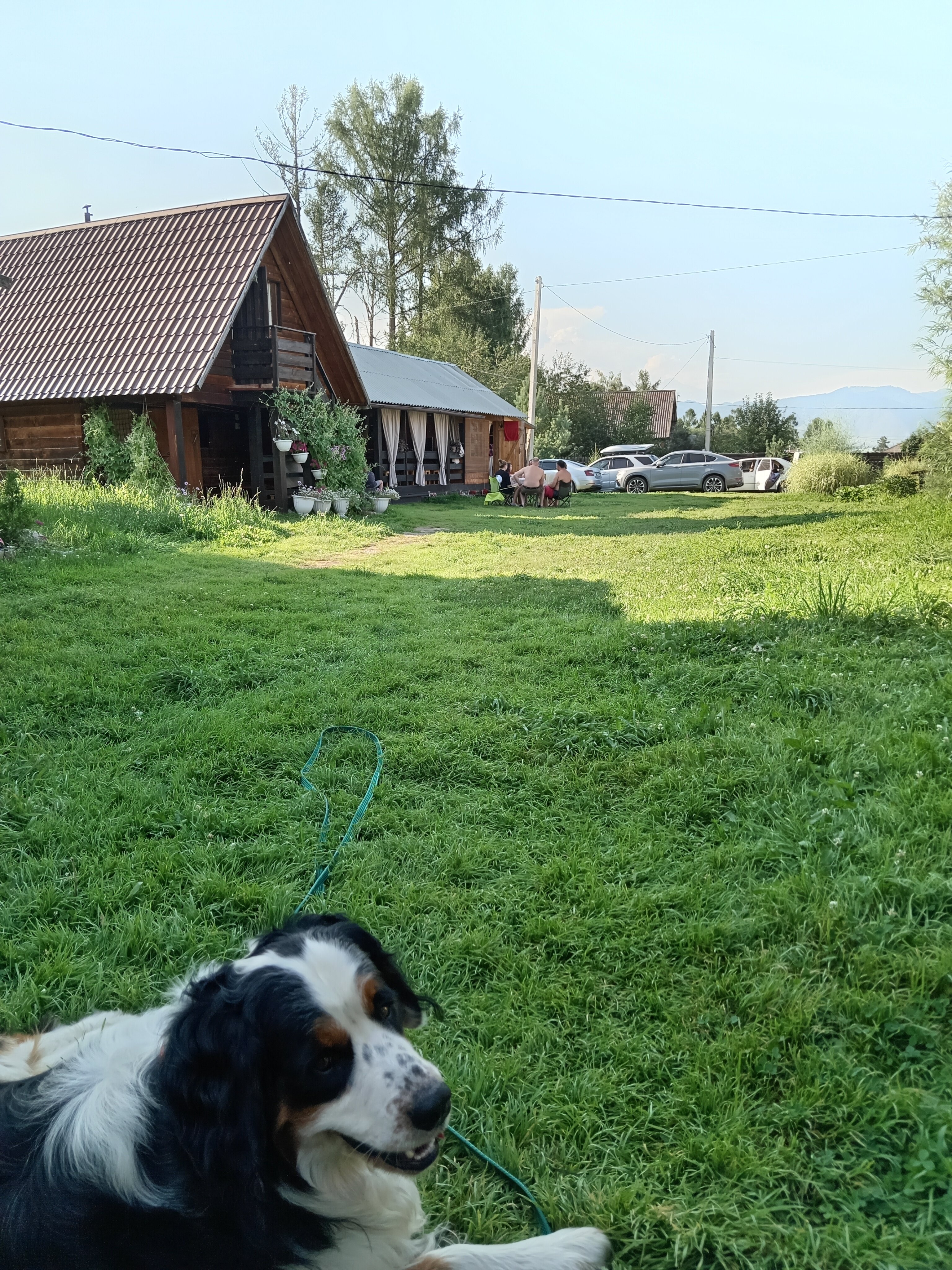 Фото Алтайна