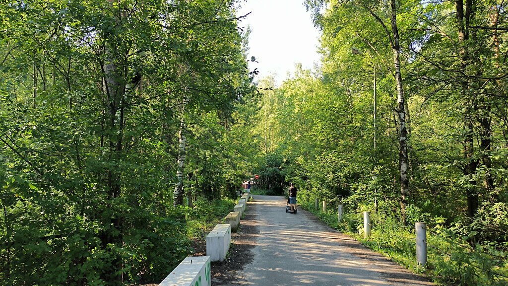 Парк культуры и отдыха Горенский лесопарк, Москва и Московская область, фото