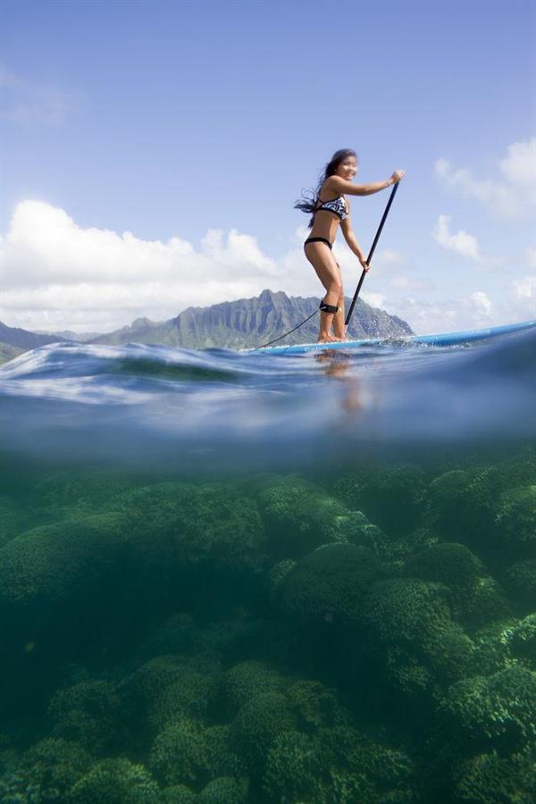 Фото Paradise Bay Resort